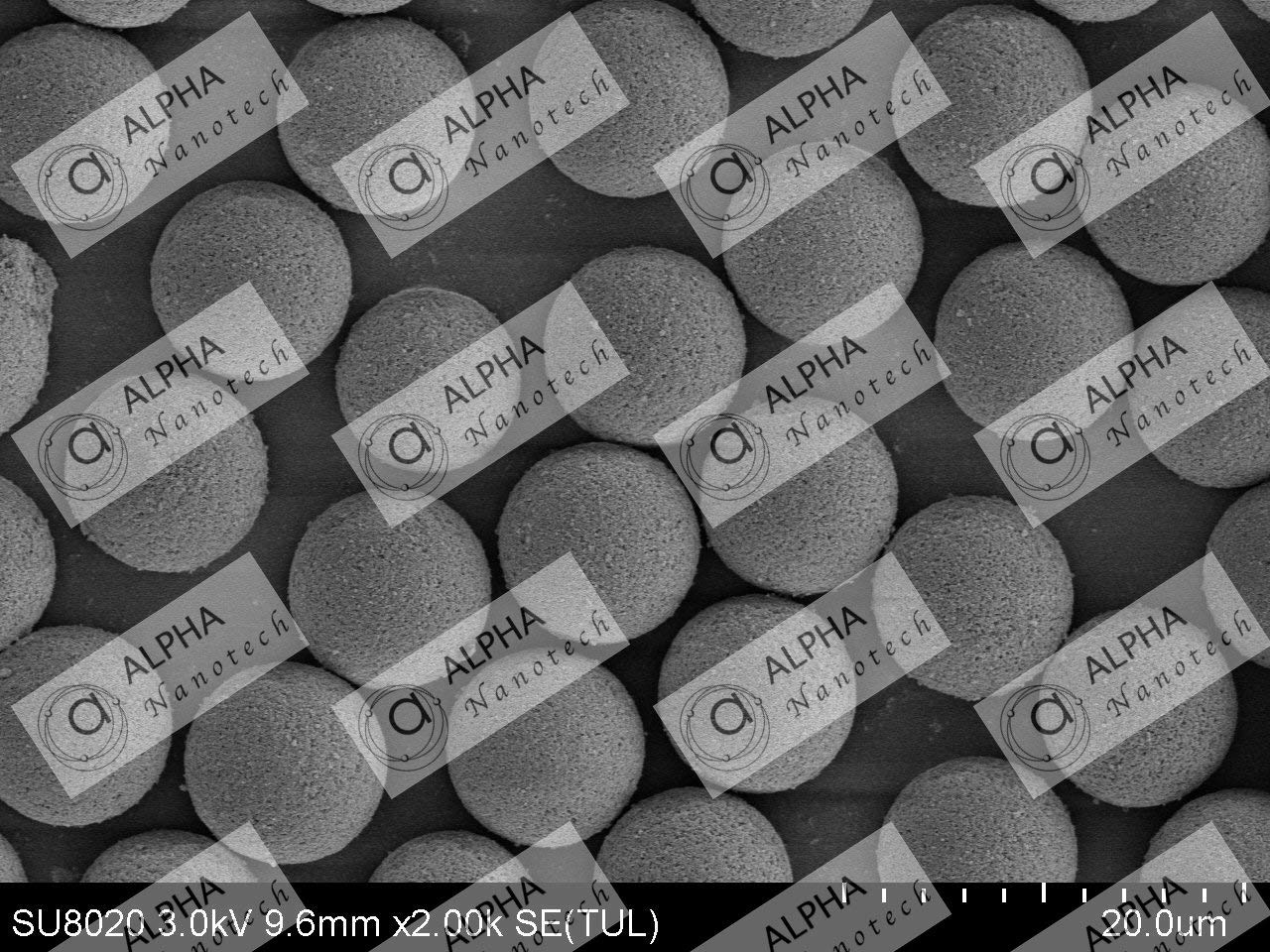Magnetic Silica Microspheres (10 ml, Highly Monodisperse, CV < 5%) (1 ?m, 10 mg/ml)