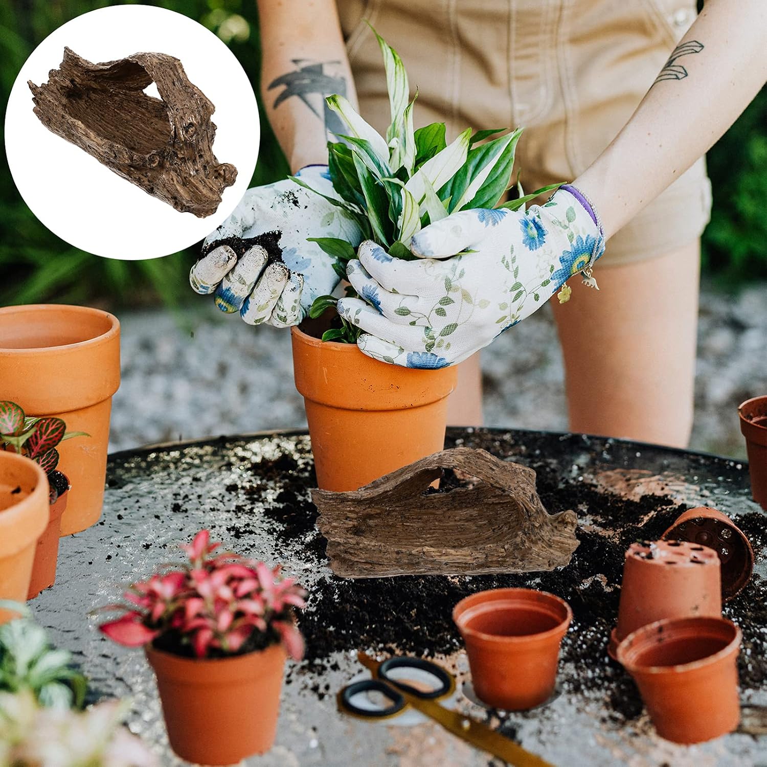 NUOBESTY Driftwood Succulent Planters Log Cactus Plant Pots Indoor Samll Flower Aloe Plants Pots Containers Tree Root Wood Shape Planters for Indoor Outdoor