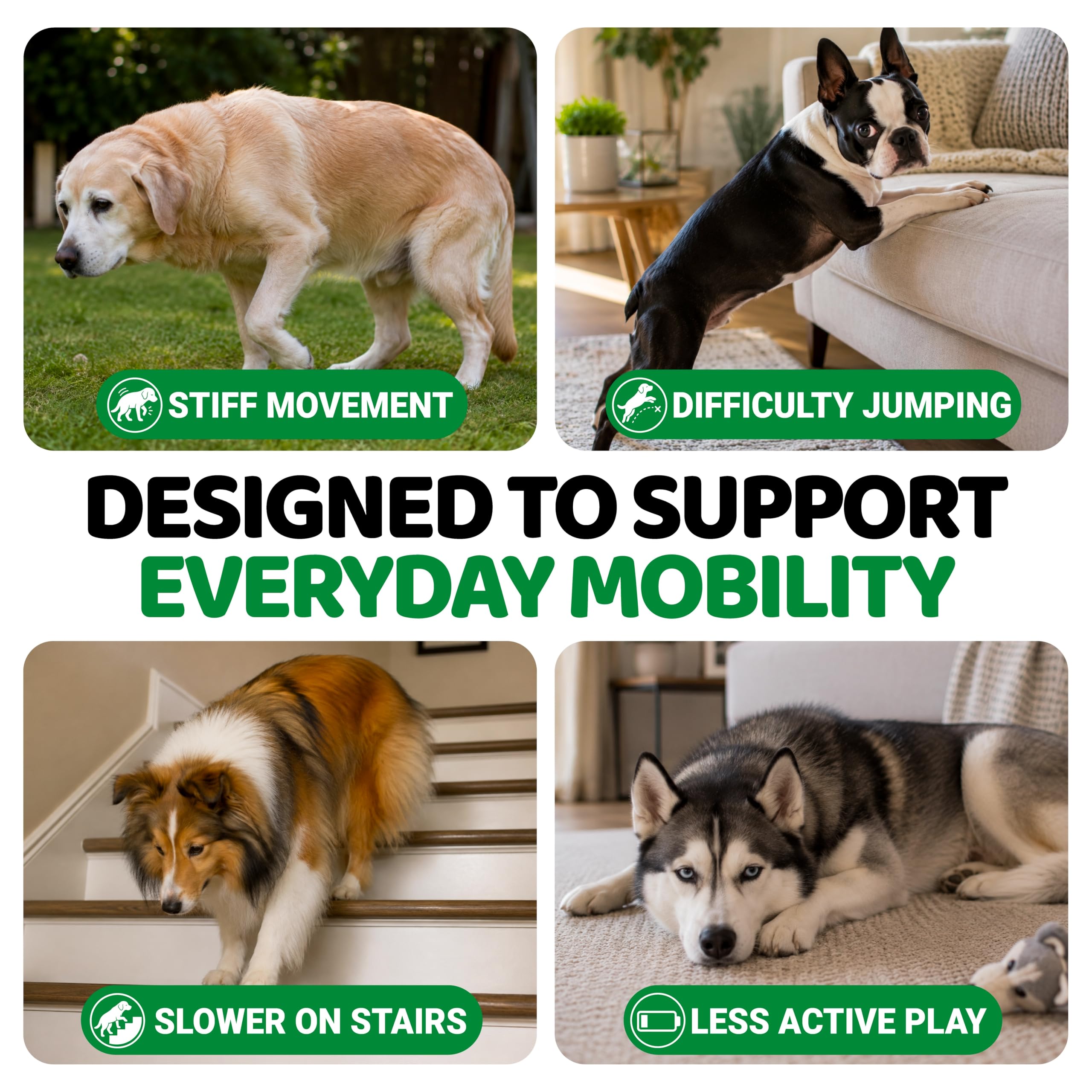 YUMA'S Glucosamine pour chiens - Supplément de hanche et articulation pour chiens - 170 CT - Glucosamine chondroïtine pour chiens à mâcher - Soulagement des douleurs articulaires pour chiens avec