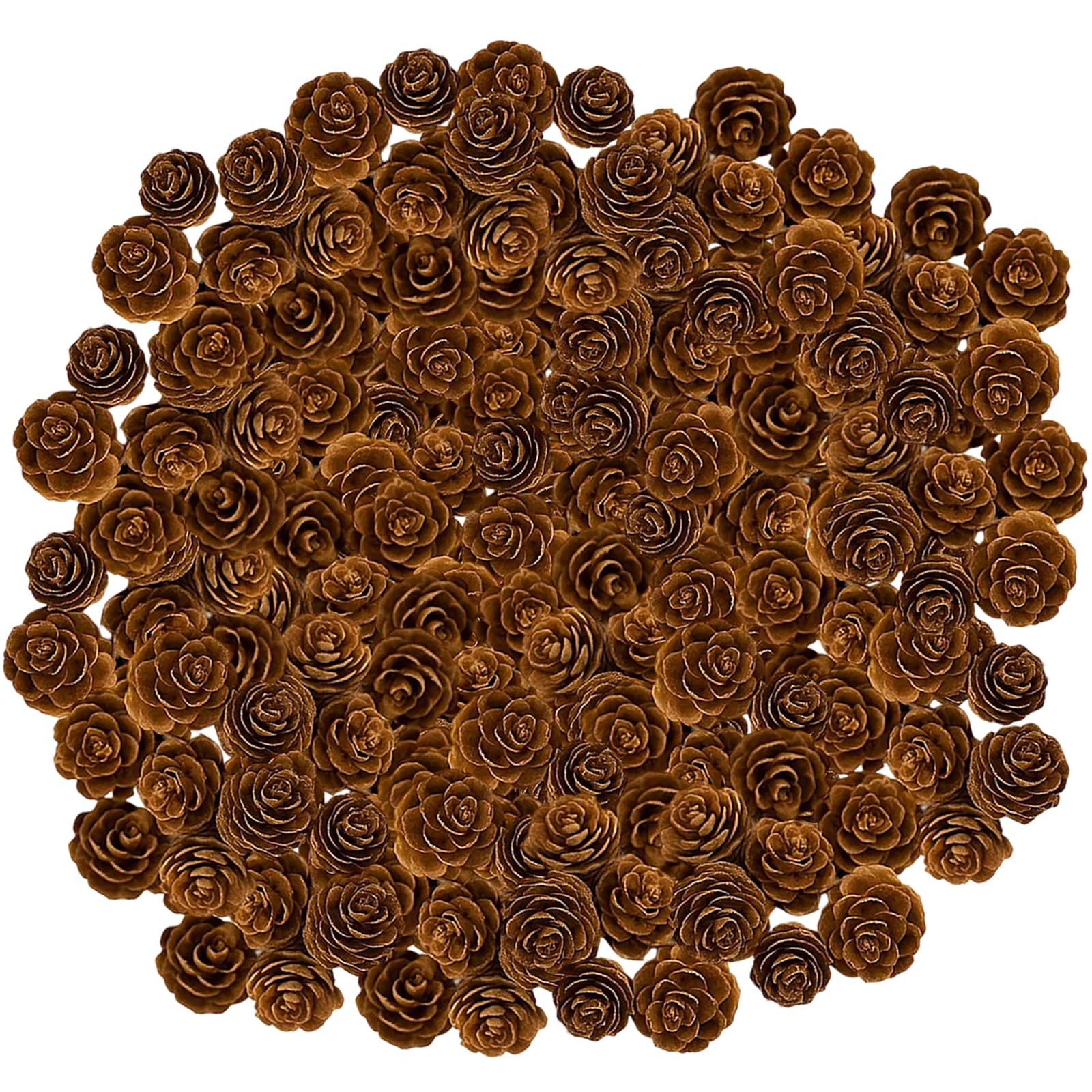200 Pcs Christmas Pine Cones for Craft and Decoration, Small Pinecones for DIY Projects, Seasonal Home Decor, Christmas Tree Ornaments, 2-3cm Natural Pine Cones