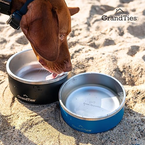 Miniatura 6 de GrandTies Cuenco de acero inoxidable para perros  Cuenco reutilizable grabado sin BPA con aislamiento para gatos y perros  Cuenco grande y