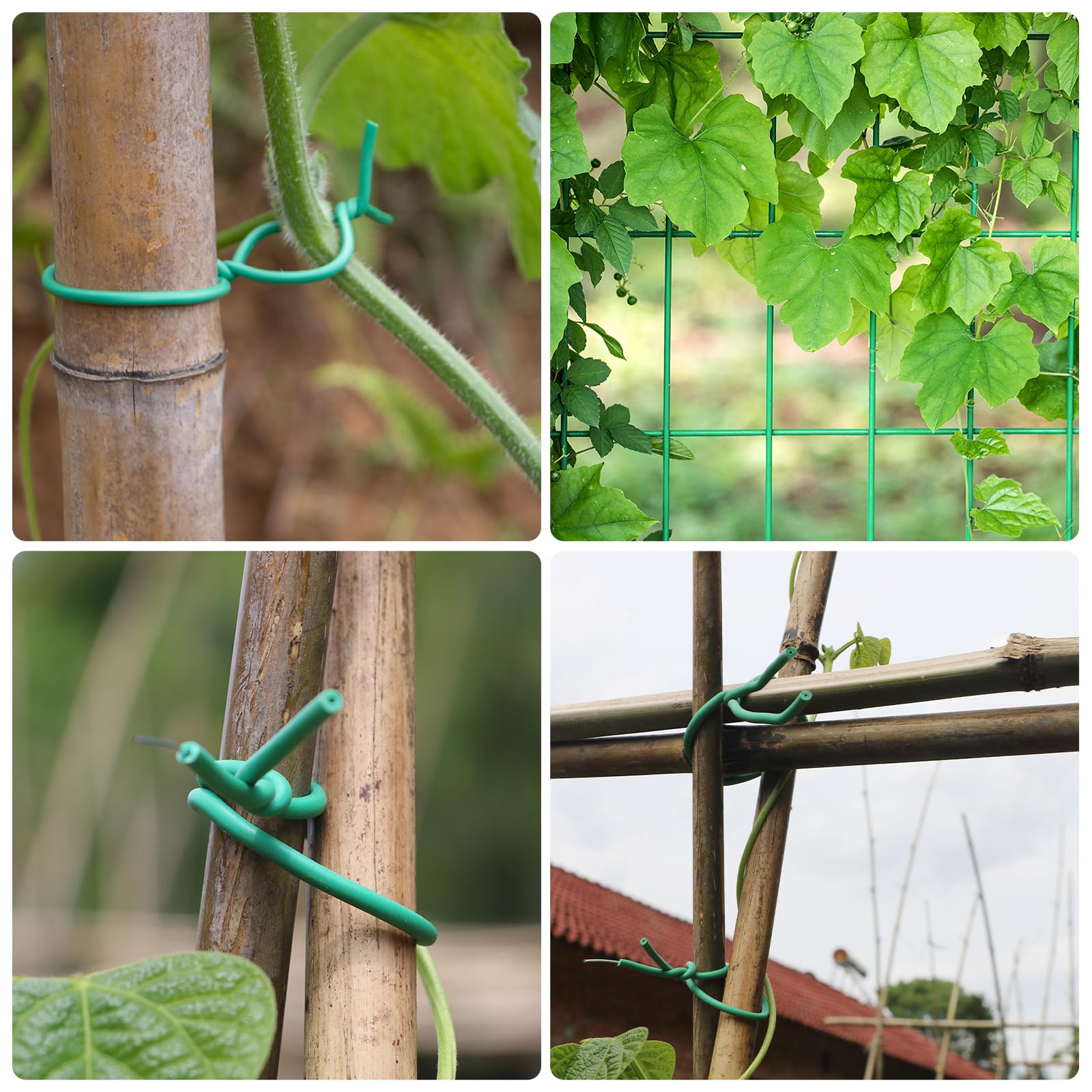 Fascette morbide per piante, da giardino, in TPR, flessibile, durevole, resistente, per spago, rami di pomodoro, viti e legare cavi (verde) (30 m/5 mm)