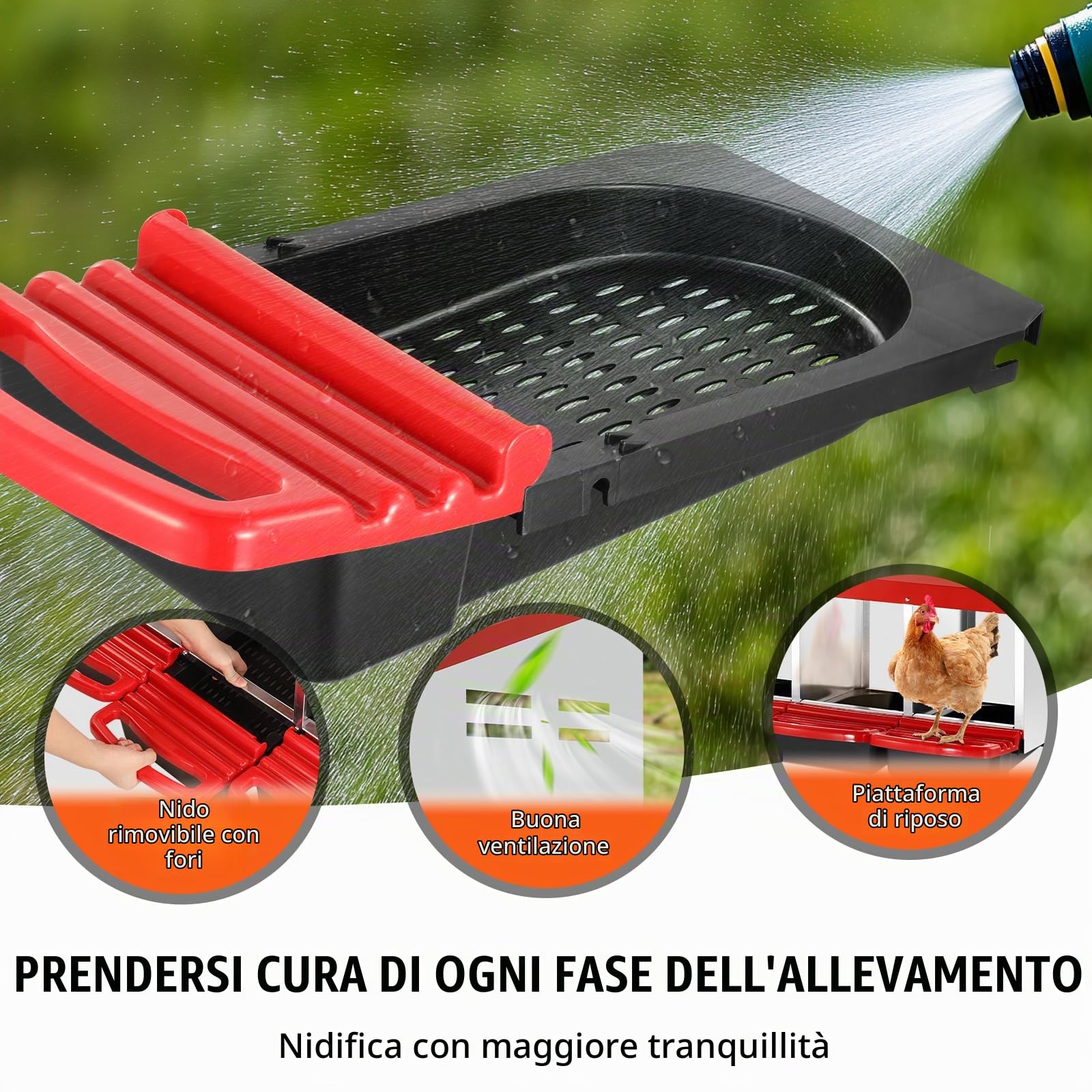 VEVOR Nido per Polli 796 x 525 x 790 mm Nido per Galline a 6 Scomparti, Stabile Resistente alla Corrosione, con Nidi Inclinati, Fori sul Fondo e Piattaforma di Riposo, Adatto a Diverse Razze di Polli