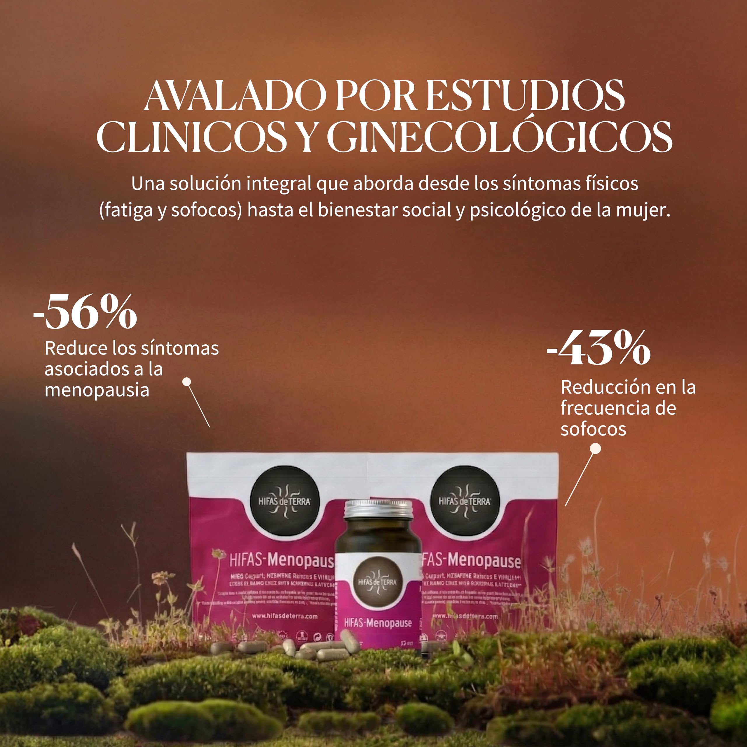 HIFAS DA TERRA - HIFAS-Menopause Suplemento para Menopausia con Extractos Puros de Reishi, Melena de León, Cordyceps y Ashwagandha (Refill: 60 cápsulas)