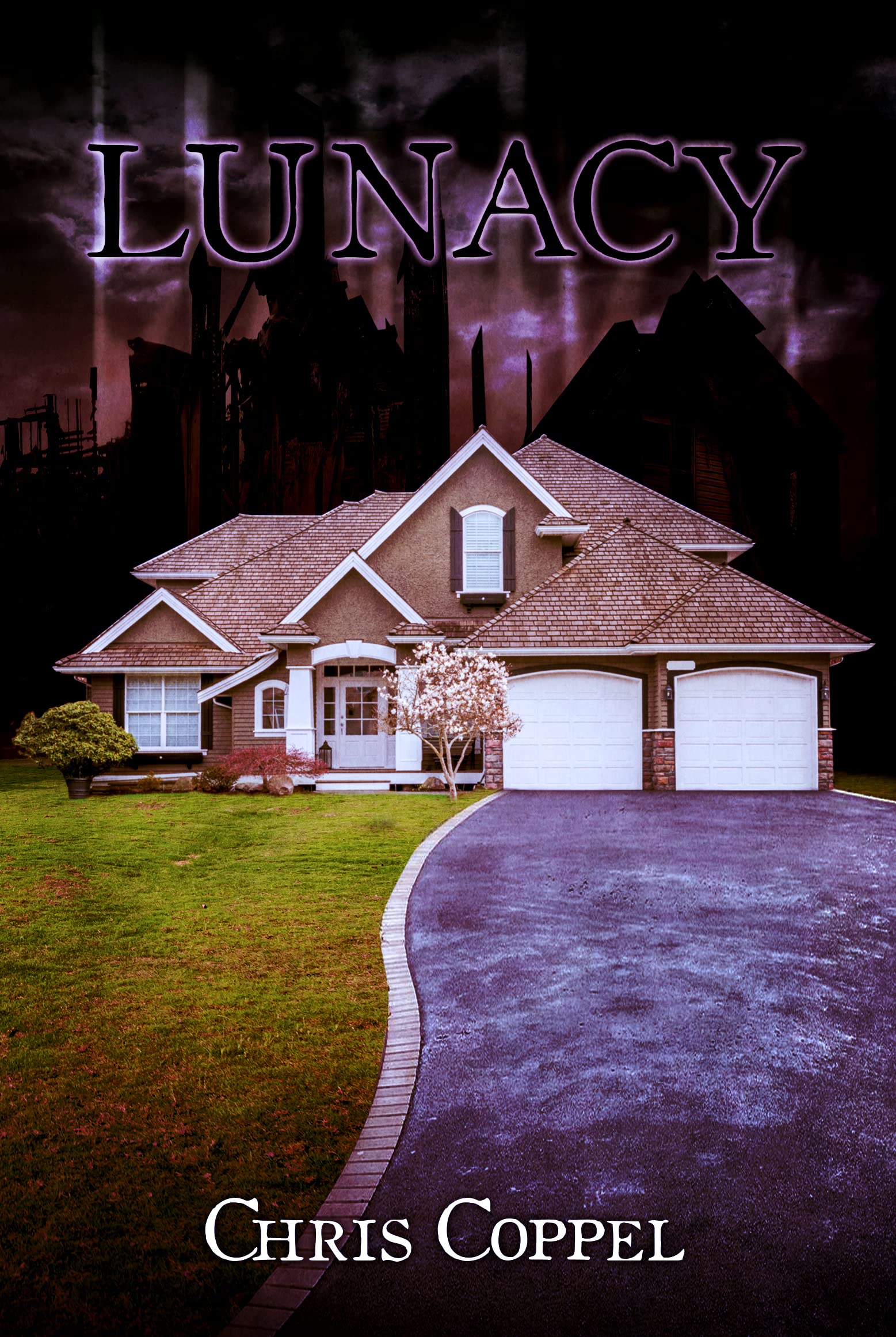 Cover of Lunacy