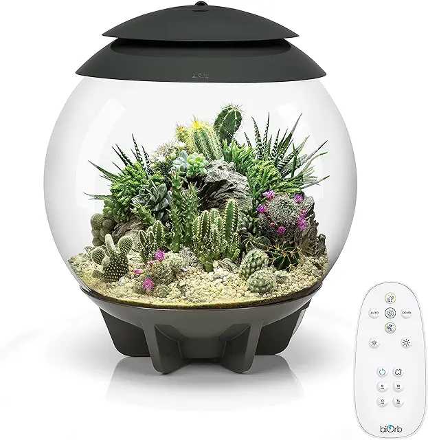 biOrb AIR 30 Terrarium - Automatisches Pflanzen-Terrarium für exotische Pflanzen