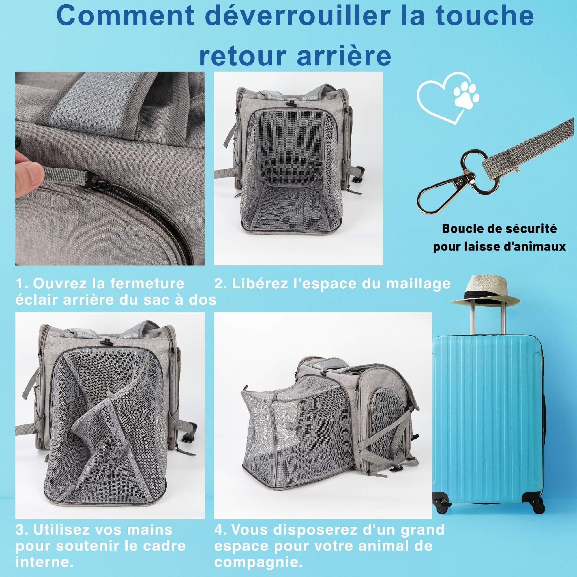 SOLDAY Sac Transport Chat Extensible Pliable, Fenêtre Respirante, Avion | Convient chats et petits chiens jusqu'à 8kg, pliable à plat, maille respirante, dimensions 45x22x26cm, homologué cabine avion