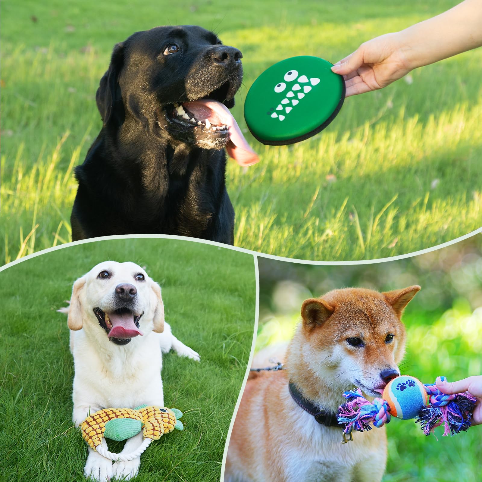 14Pcs New Puppy Gift Basket, Welcome Puppy Starter Kit, Dog Toy Gift Basket for Small Puppies, Interactive Dog Toys Bundle Dog Essentials for Birthday Christmas