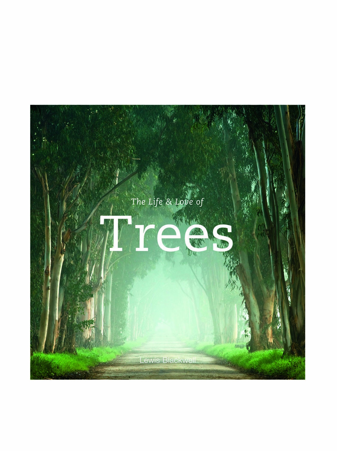 The Life & Love of Trees : lewis-blackwell: Amazon.com.mx