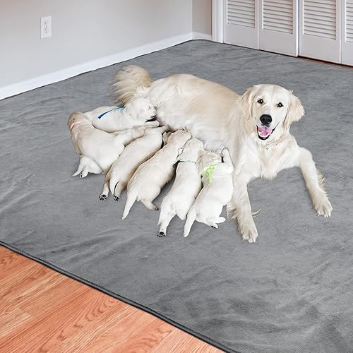 Miniatura 7 de Almohadilla lavable para orina de perro, extra grande, almohadillas de entrenamiento de absorción instantánea, antideslizante, tapete impermeable y