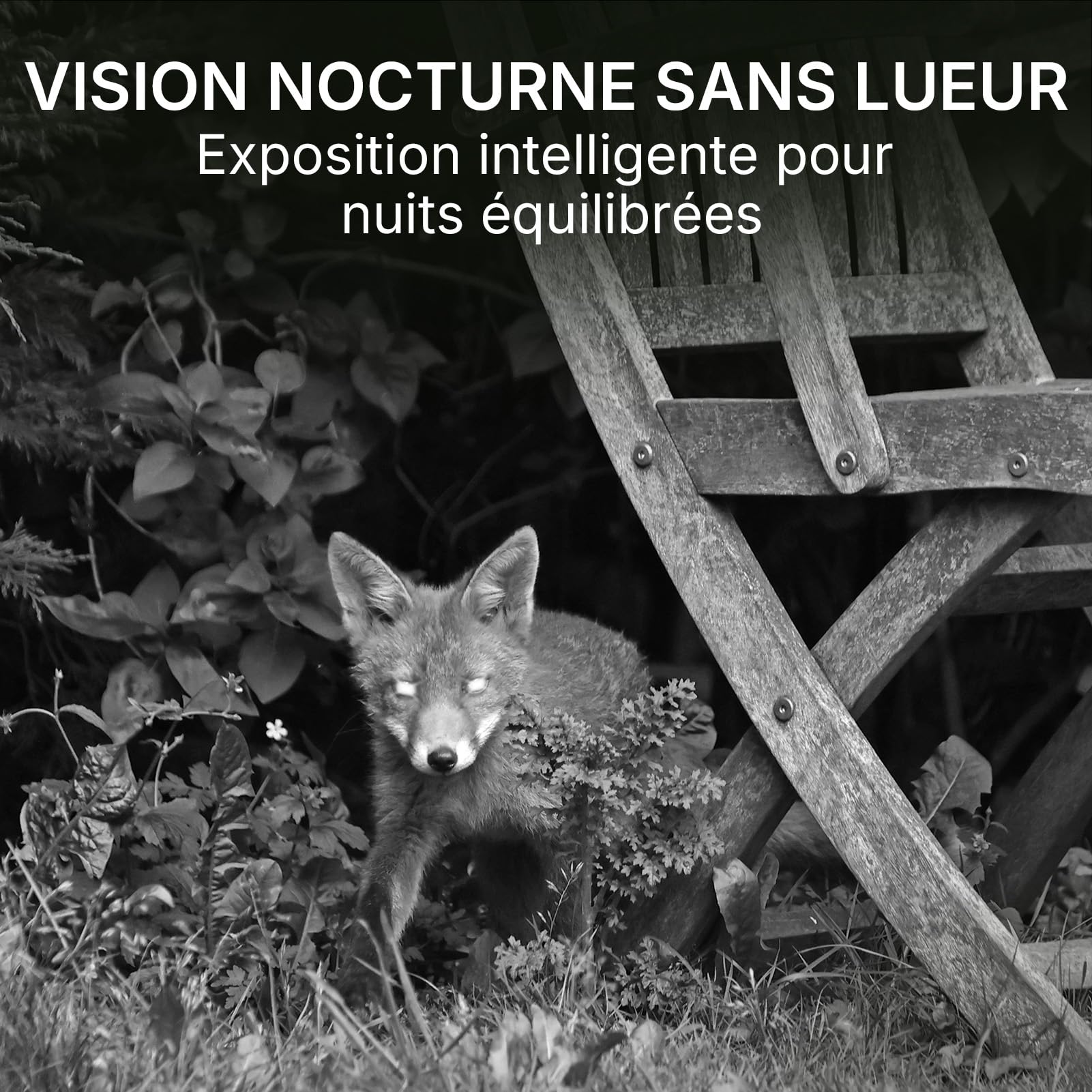 GardePro E8 2.0 Pro 4K Camera de Chasse WiFi, Batterie de 7800 mAh | Portée WiFi de 50 Mètres, 64MP Caméra de Chasse Connectée Telephone, Camera Vision Nocturne Animaux Exterieur