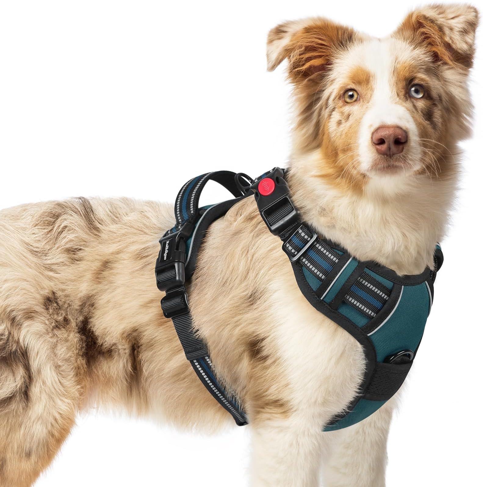 Dog Harness Medium Sized, No Pull Pet Harness with 3 Buckles, Adjustable Soft Padded Dog Vest with Instant Control Handle, Easy Walking Reflective Pet Vest for Medium Dogs, Blue Coral, M