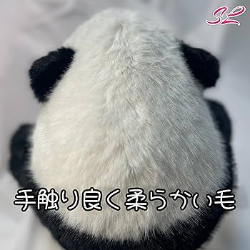 81XXopZyPeL._AC_UF350, 81XXopZyPeL._AC_UF350,