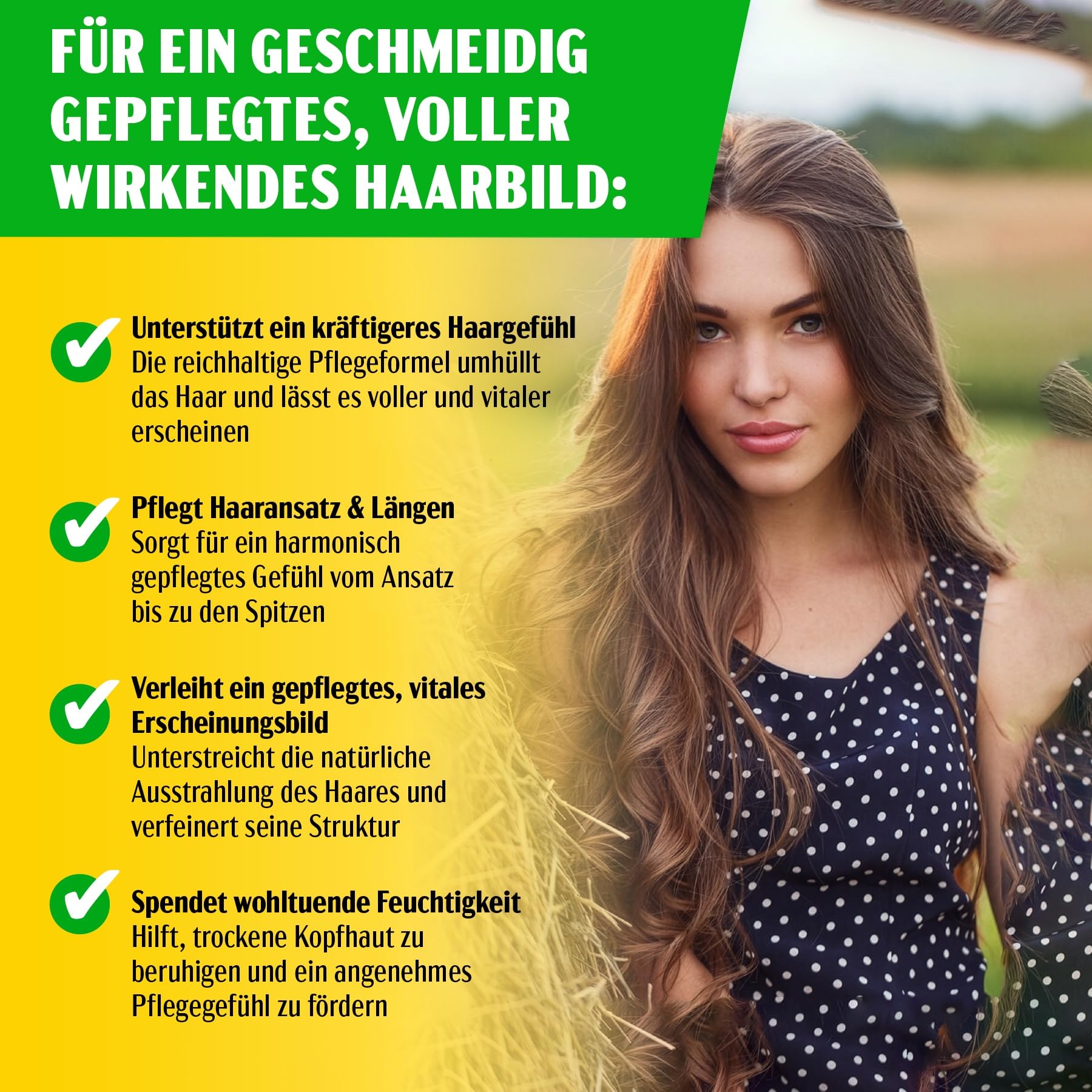 P-Beauty 3 x olejek Batana do włosów, tłoczony na zimno 120 ml – olejek do włosów, do pielęgnacji włosów i pielęgnacji skóry głowy – naturalny olejek do włosów, skóry głowy, rzęs, brwi – wzmacnia