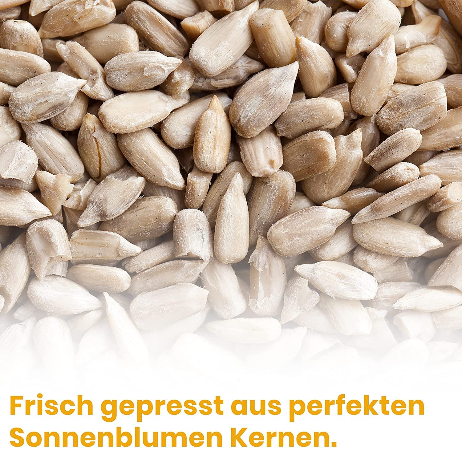 Koch Larder reinem Sonnenblumenöl 5 Liter