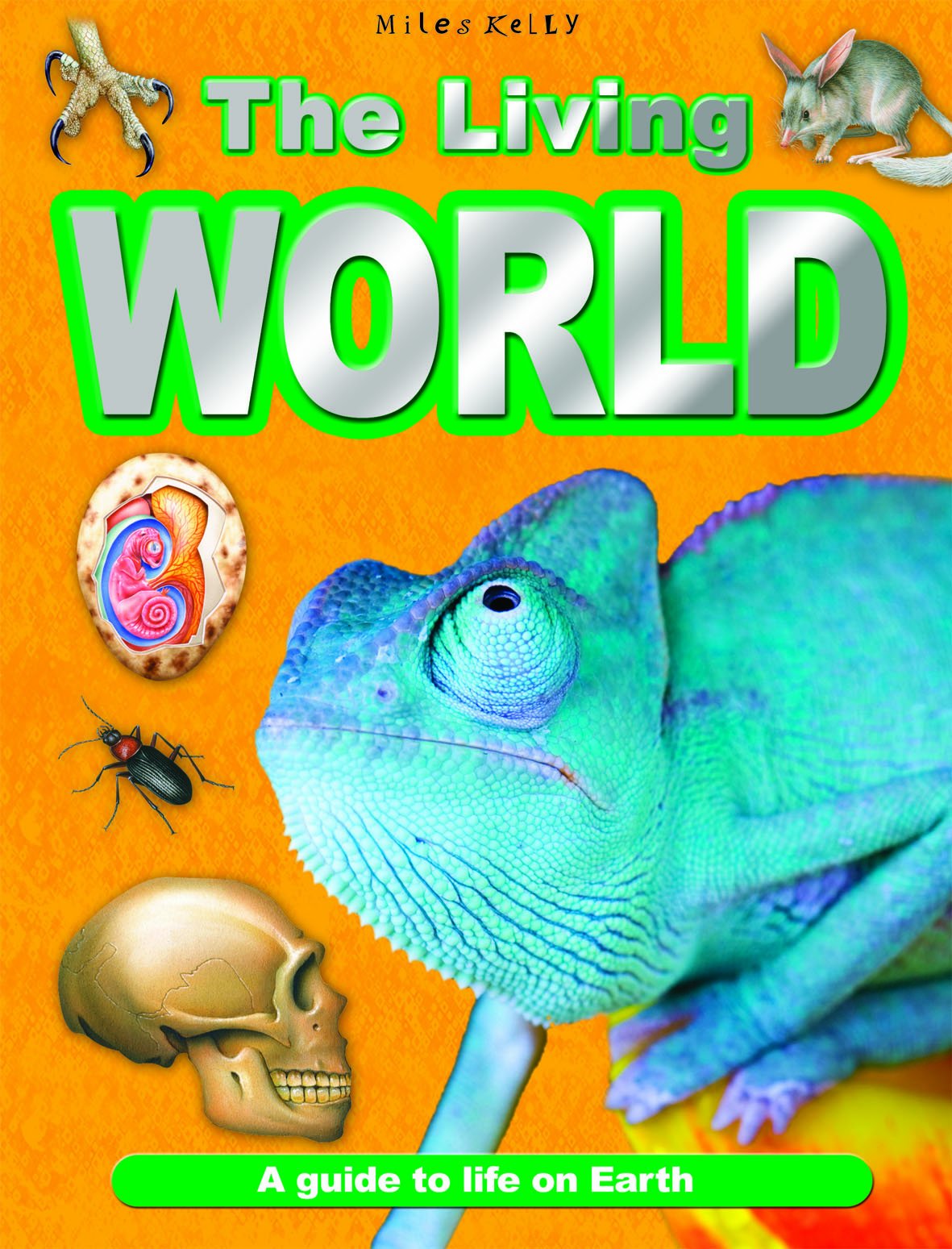 Living World