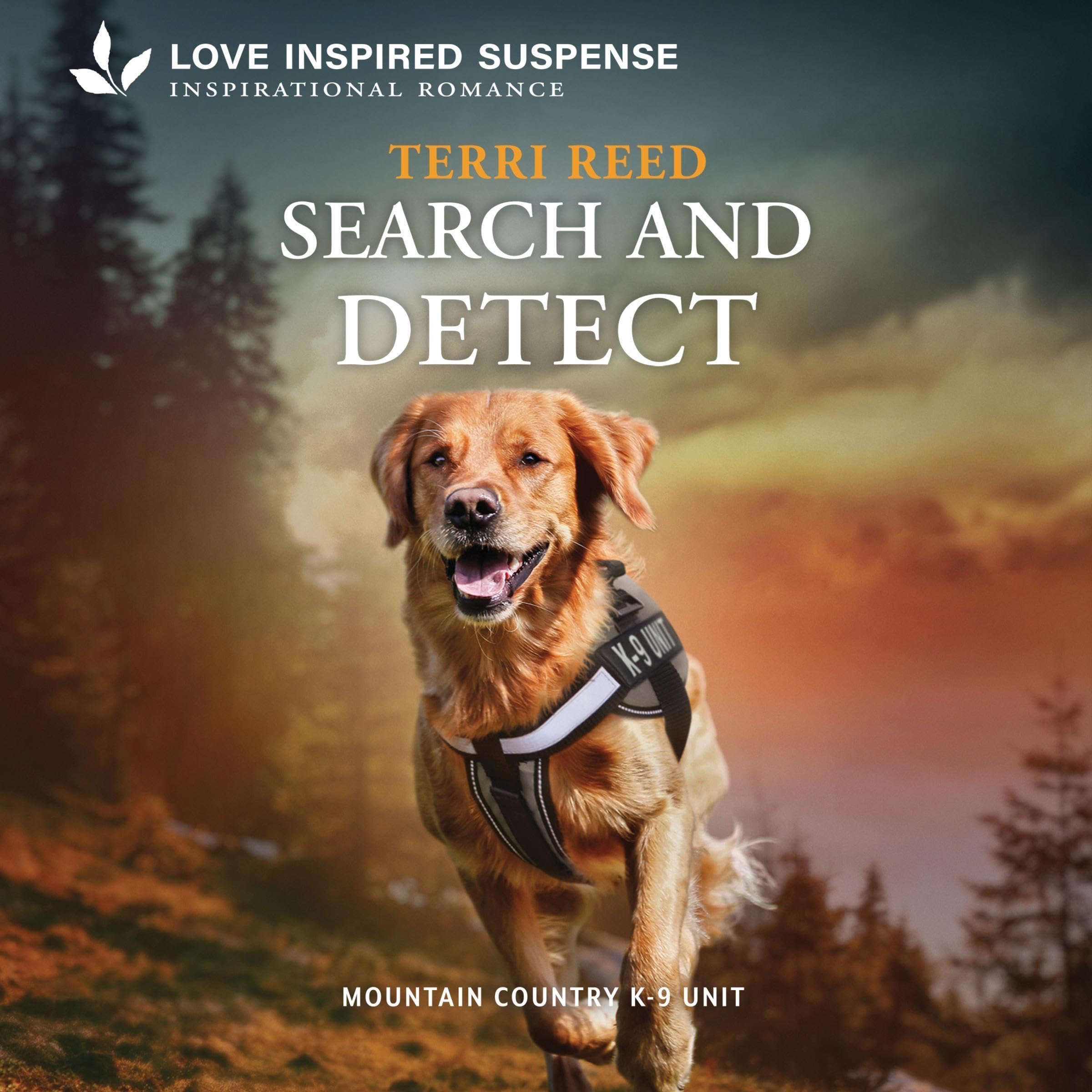 Cover art for Search and Detect