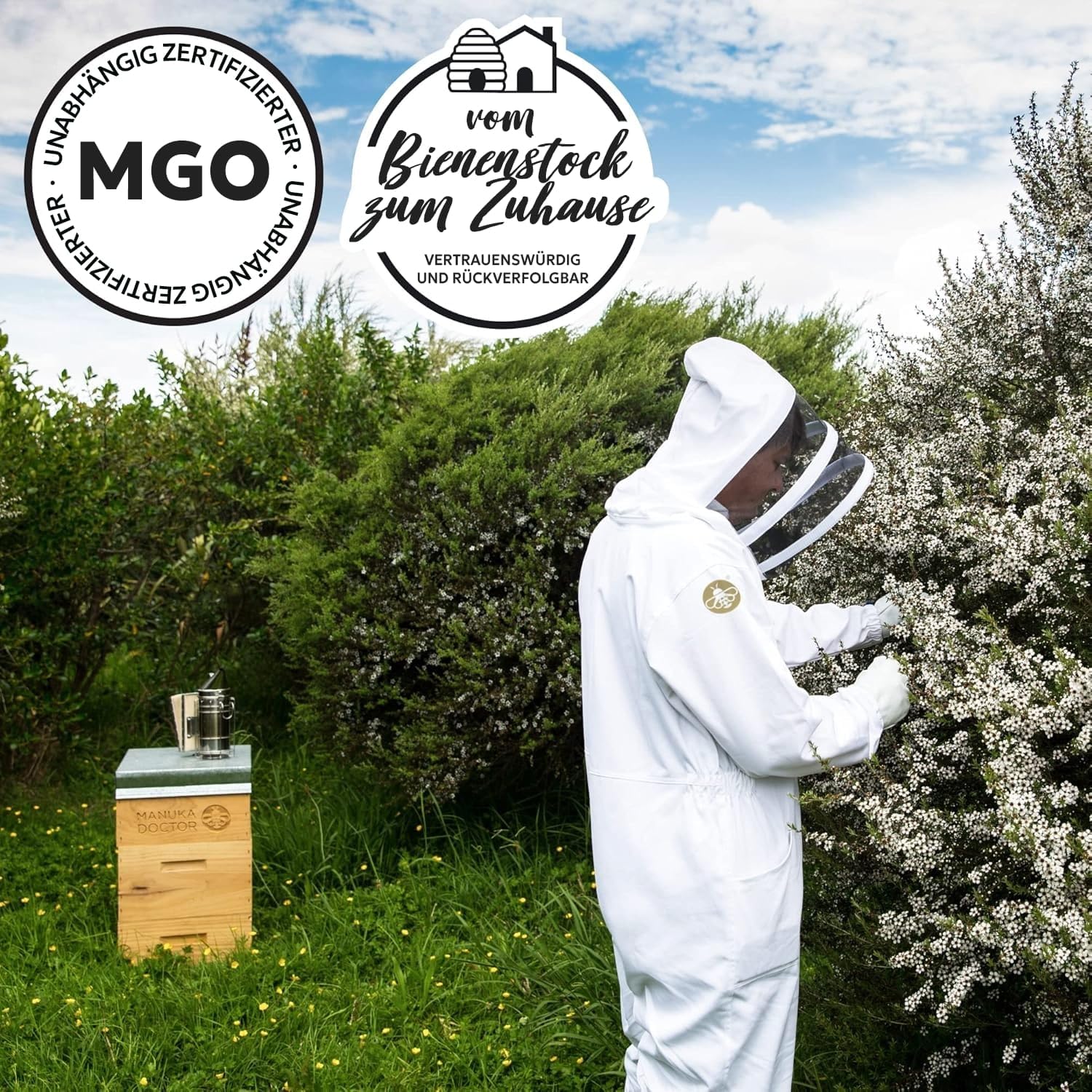 MANUKA DOCTOR MGO 540+ Manuka Honig Monofloral 250g 100% Reiner Neuseeland Honig Zertifiziert RAW