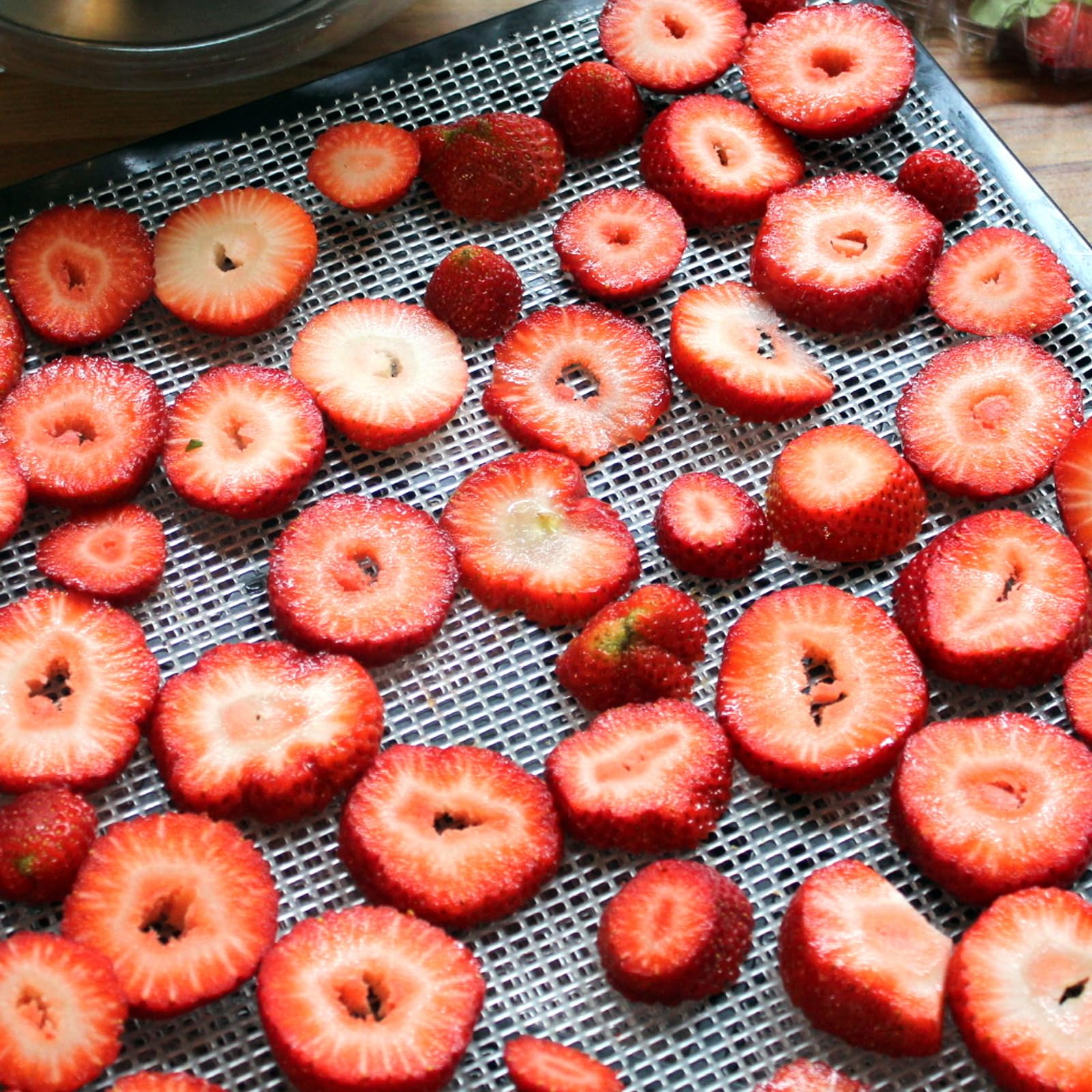 5 Piezas Hojas Deshidratadoras de Silicona, Esteras Deshidratantes de Fruta Antiadherente, Tabla de Deshidratación Reutilizable, Estera de Cocina de Malla Cuadrada para Frutas, Verduras y Carnes