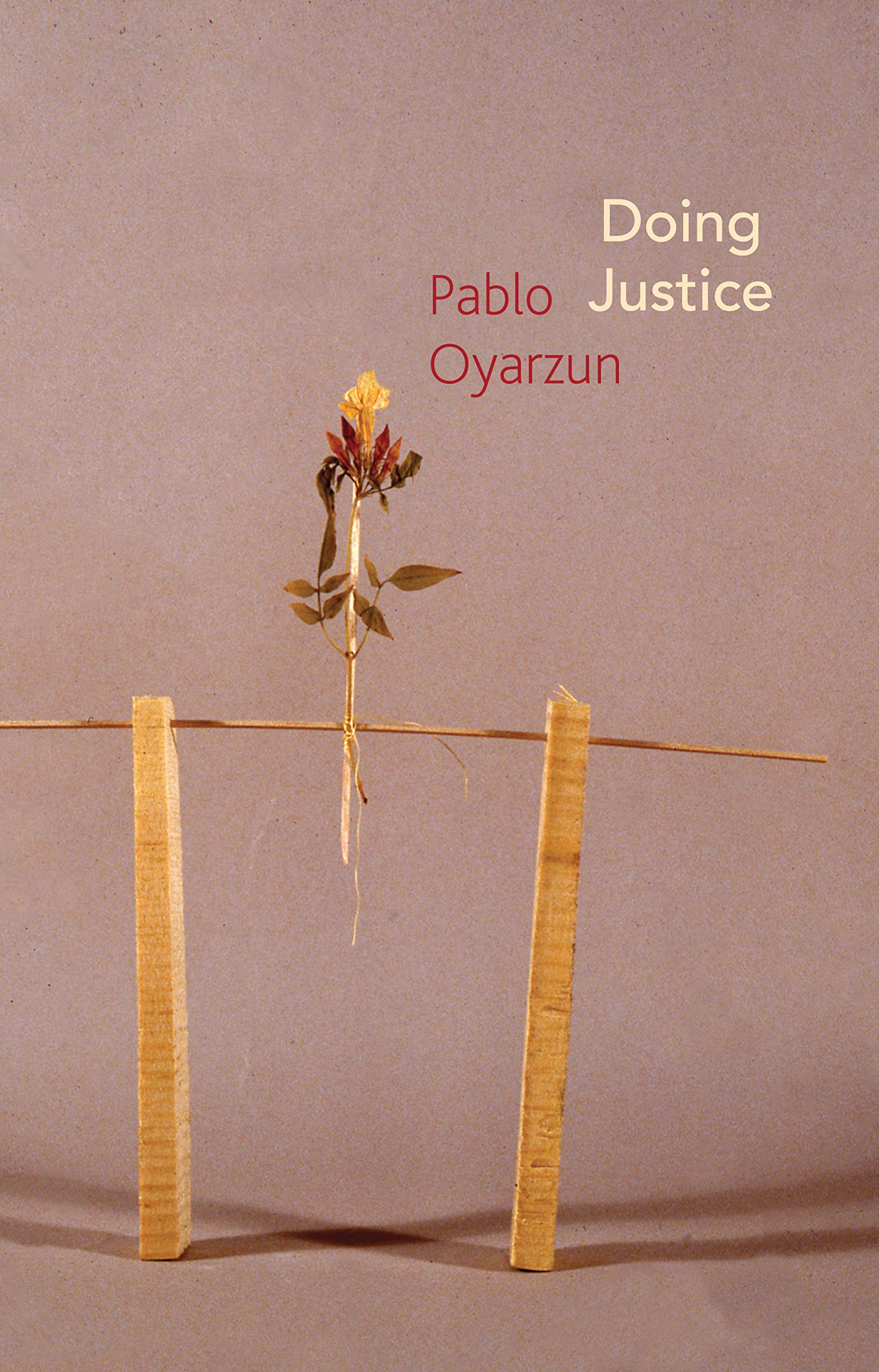 Doing Justice: Three Essays on Walter Benjamin (Critical South)