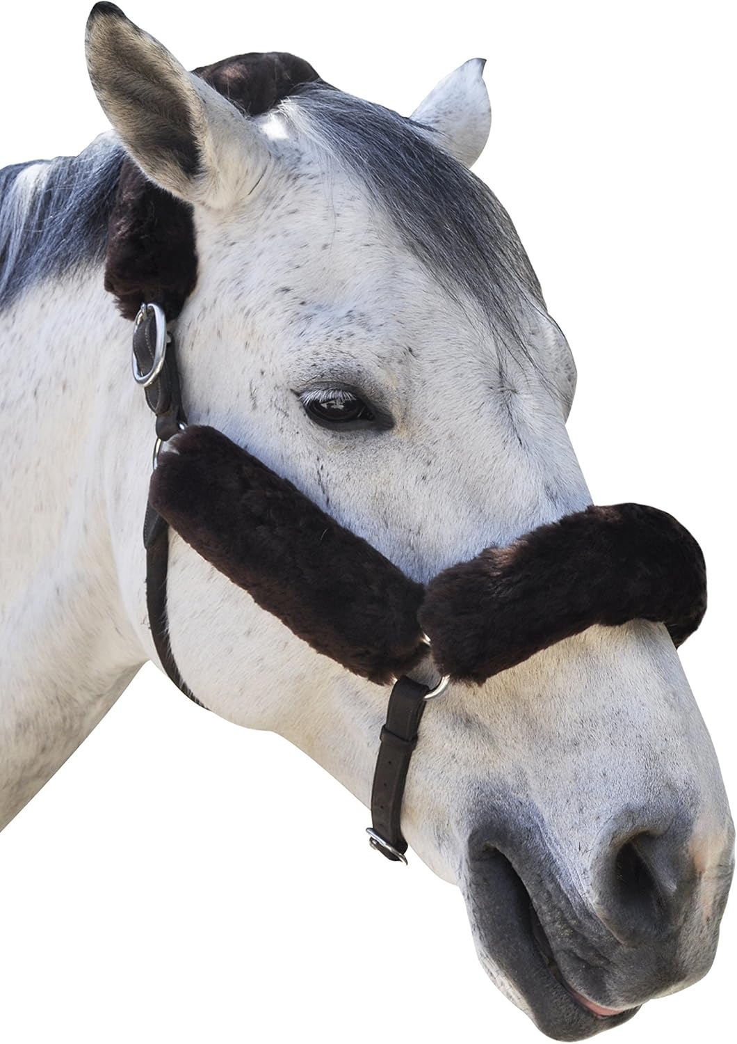 ECP メリノ シープスキン ホルター フリースセット 馬の保護 緩和 4ピース ブラウン