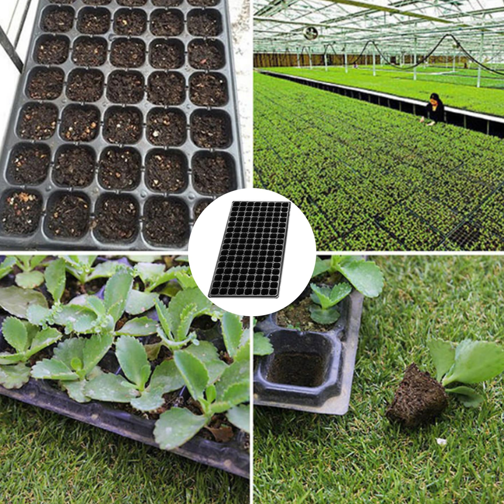 10pcs vassoio di germinazione del giardinaggio, 128 cellule di giardinaggio che coltivano vassoi di piantine di posa in plastica