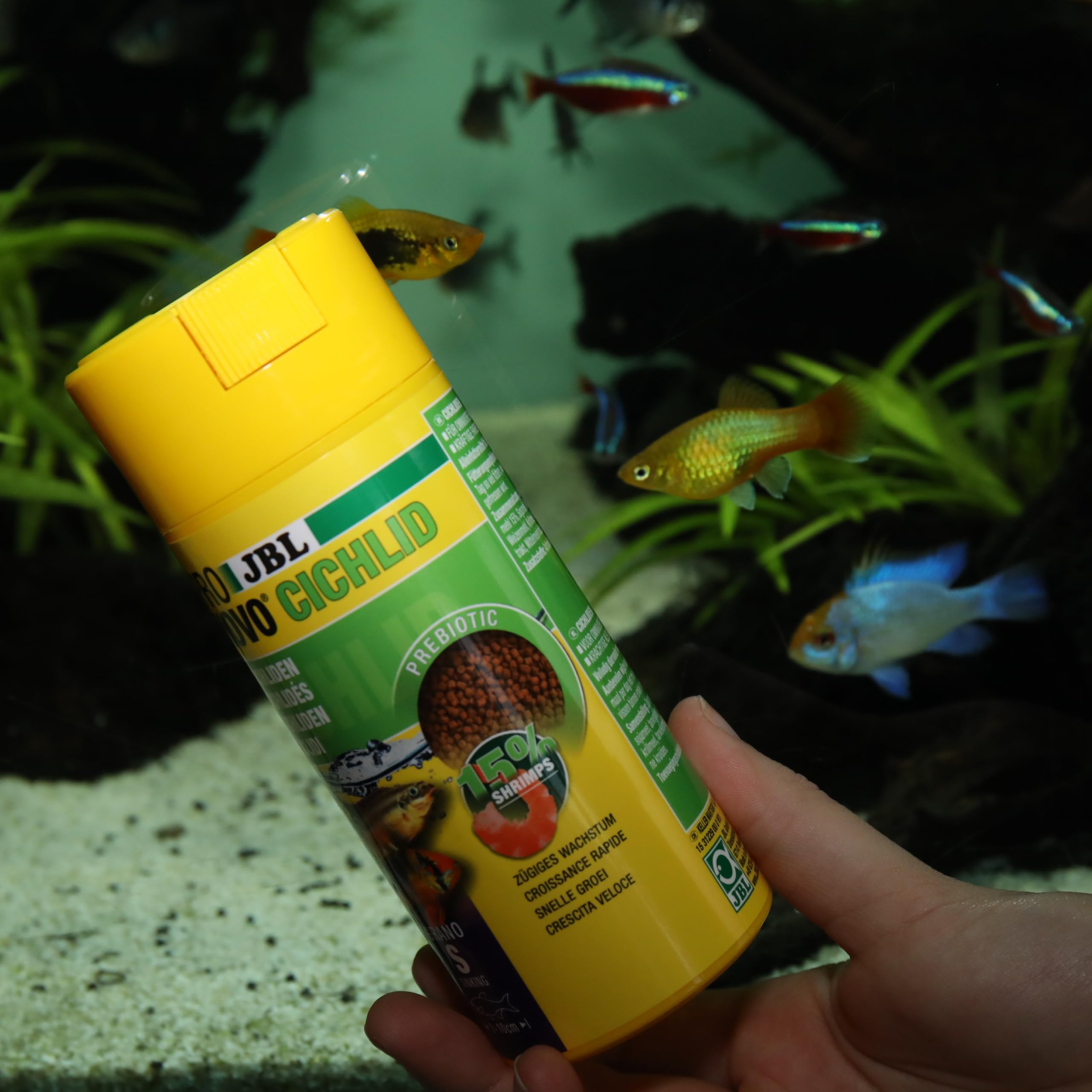 JBL PRONOVO Cichlid Grano, alimento Principal para cíclidos pequeños de 3 – 10 cm, dosificador Clic, gránulos para piensos para Peces, Talla S, 250 ml