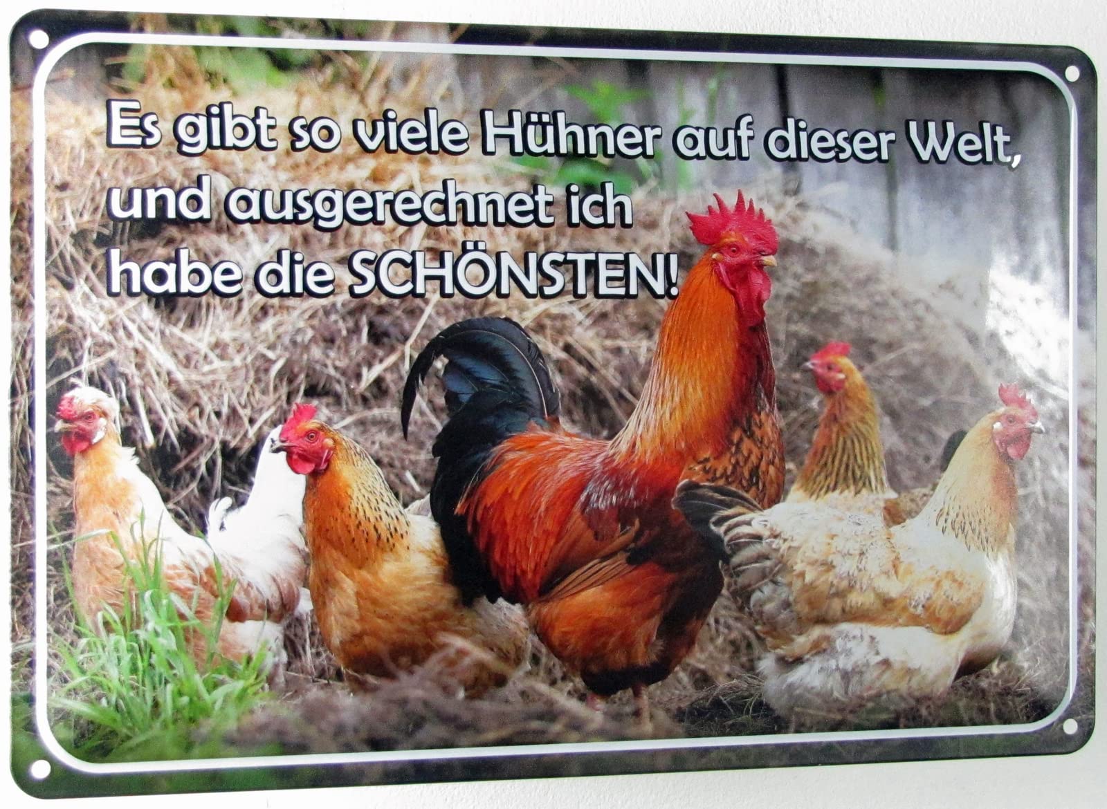 Balgardekor Lustiges Blechschild Für Zaun/Garten (30,5x20,3 Cm) - 'Geschützt Durch Hochtrainierte Hühner' - Wetterfeste Outdoor-Deko Mit Löchern