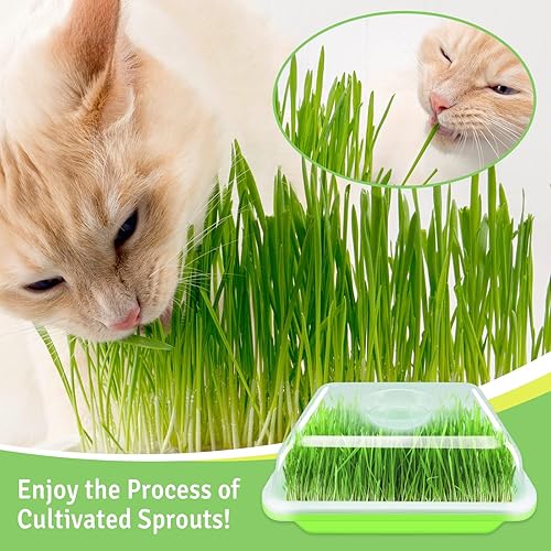 Miniatura 36 de Legigo Paquete de 2 bandejas de germinación de semillas con tapas, bandeja de germinación de cultivo sin tierra, sin BPA, bandejas de cultivo de 2