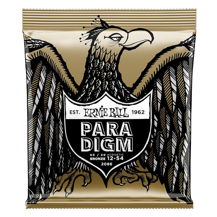 Amazon.com: Ernie Ball Paradigm Medium Light 80/20 Bronze