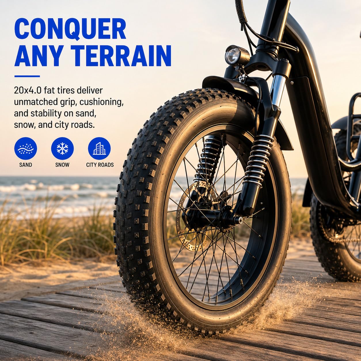 Triciclo Elettrico per Adulti 20" Ebike 3 Ruote con Gomme Fat