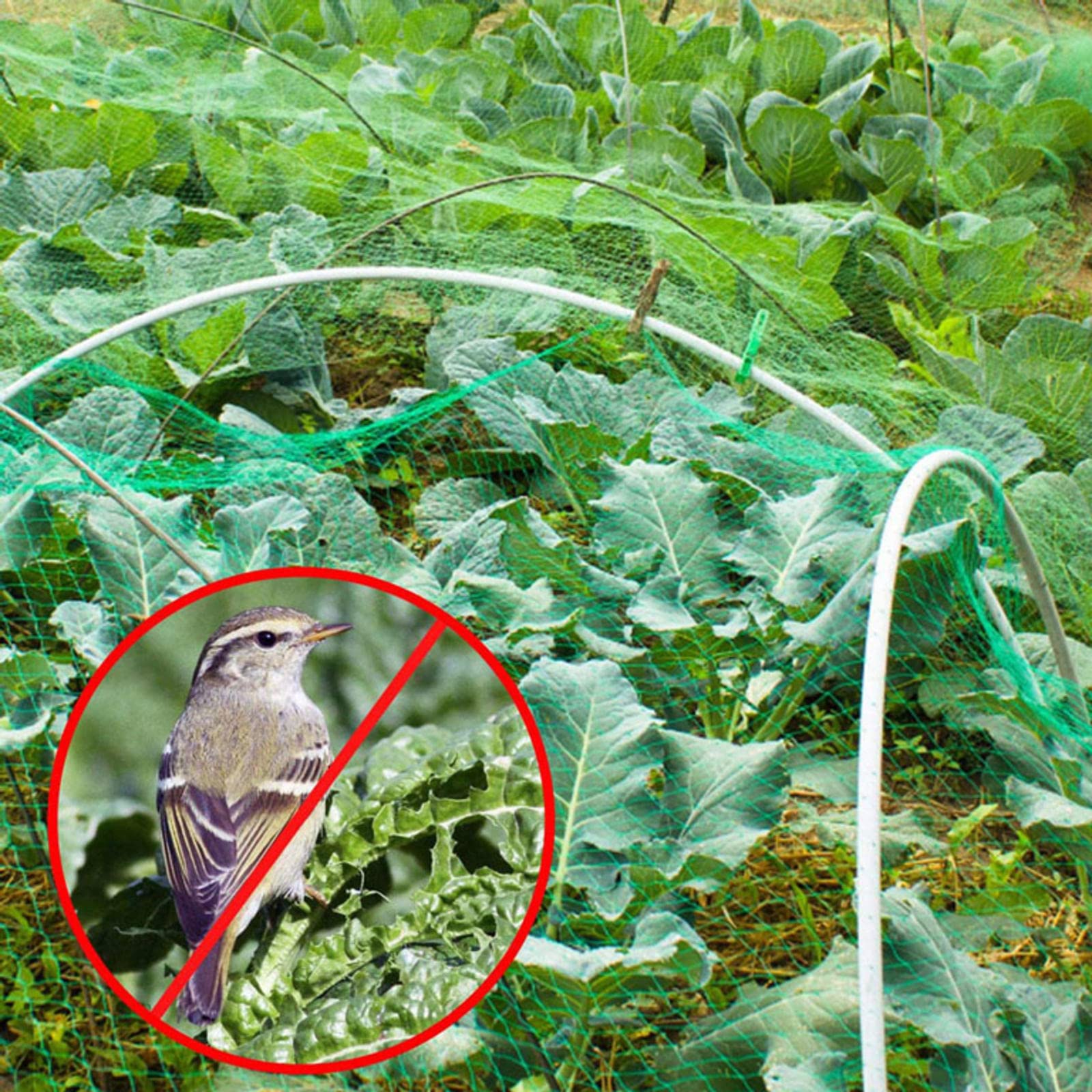 Red de protección para aves de corral y árboles frutales, 3 x 10 m, malla segura para jardín, protección contra la fauna y los depredadores