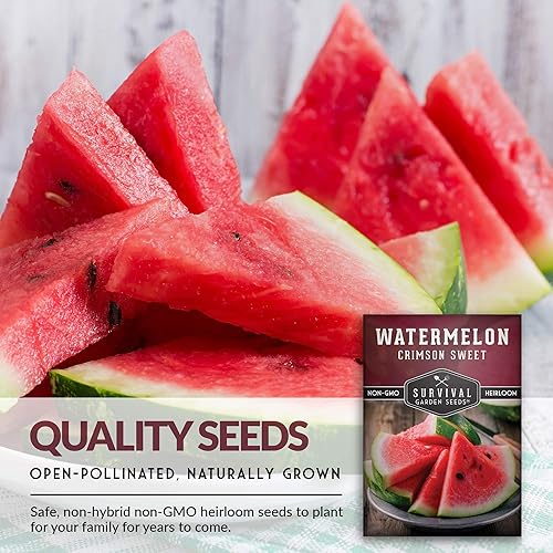 Miniatura 3 de Survival Garden Seeds - Semilla de sandía dulce carmesí para plantar - 3 paquetes con instrucciones para plantar y cultivar en tu jardín de verduras