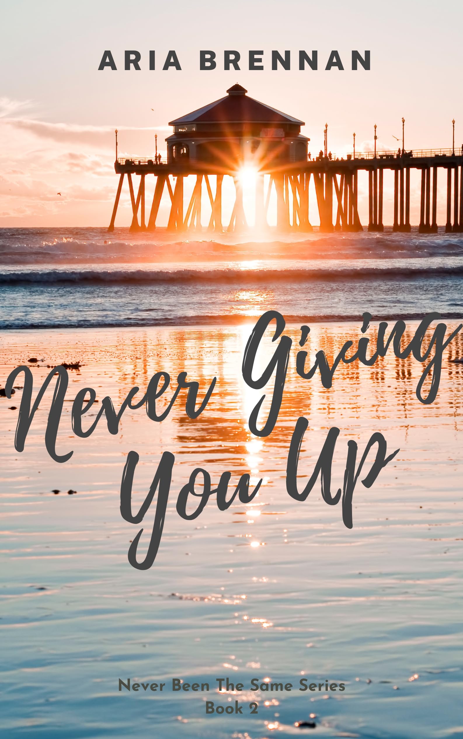 Never Giving You Up (Never Been The Same Series Book 2)