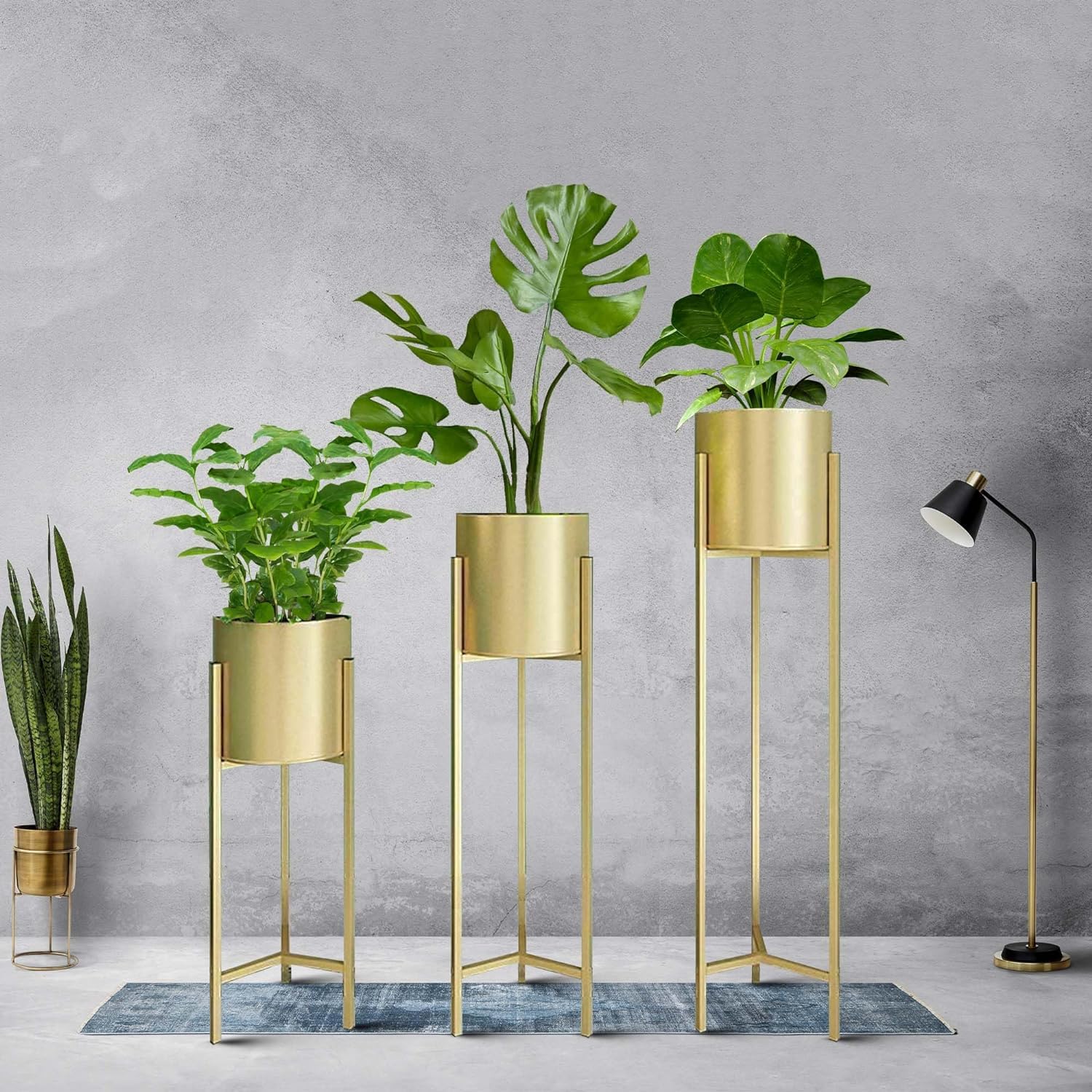 See full amazon price history chart for MD Metal Flower Plant Pots for Living Room, Bedroom | Tall Indoor Planters Pots Self Watering Rust-Free for Home Decor Living Room Set 3 || MD Metal Flower Plant Pots for Living Room, Bedroom | Tall Indoor Planters Pots Self Watering Rust-Free for Home Decor Living Room Set 3 || (B0CRDYZ75V) Amazon Price History, Amazon Price Tracker