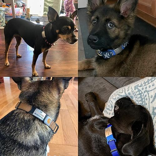 Miniatura 10 de Placa personalizada para mascotas, sin ruido, placa grabada con el nombre del perro, placas de identificación deslizante para gatos, placas de