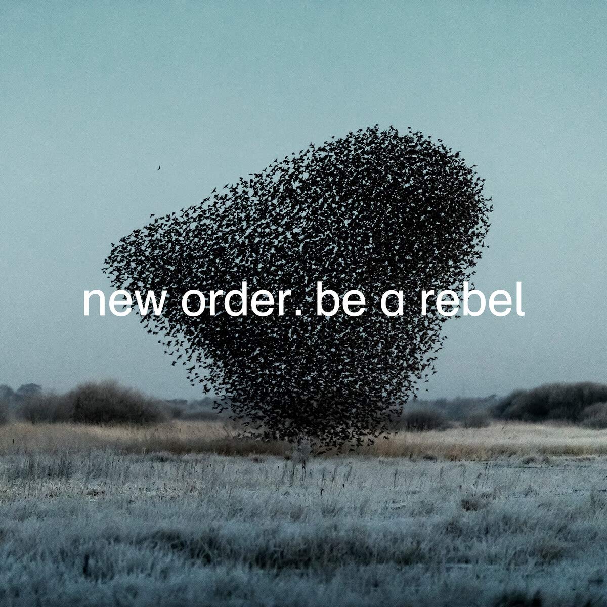 Be a Rebel [VINYL]