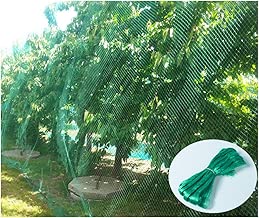 CandyHome Green Anti Bird Protection Net Mesh Garden Plant Netting Protect Seedlings Plants Flowers Fruit Trees Vegetables from Rodents Birds Deer Reusable Fencing (13Ft x 33Ft) - coolthings.us