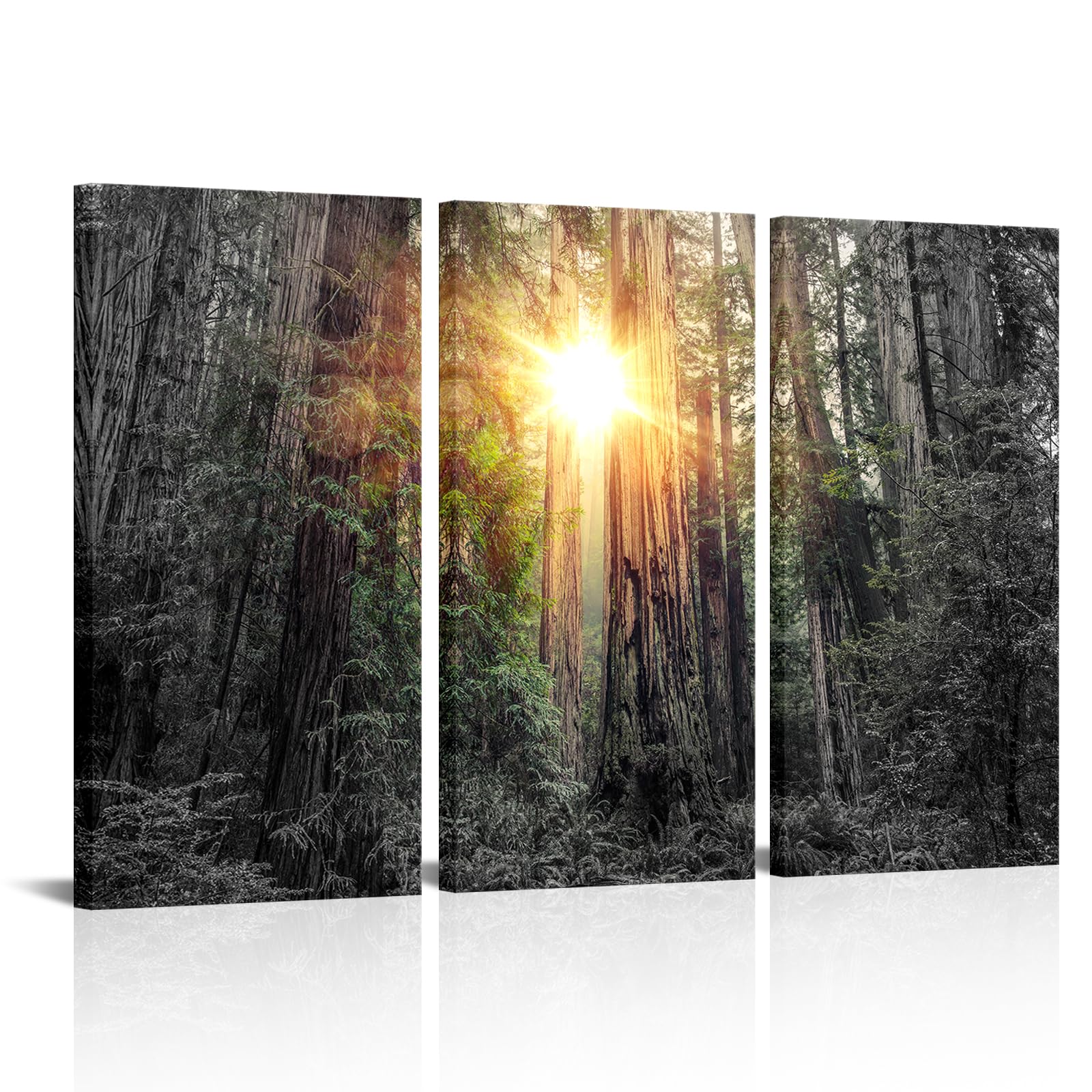 OuElegentRedwood Forest Sunrise Canvas Wall Art Sunshine Through The Woods Picture Artwork Nature Landscape Paiting For Home Living Room Bedroom Decor
