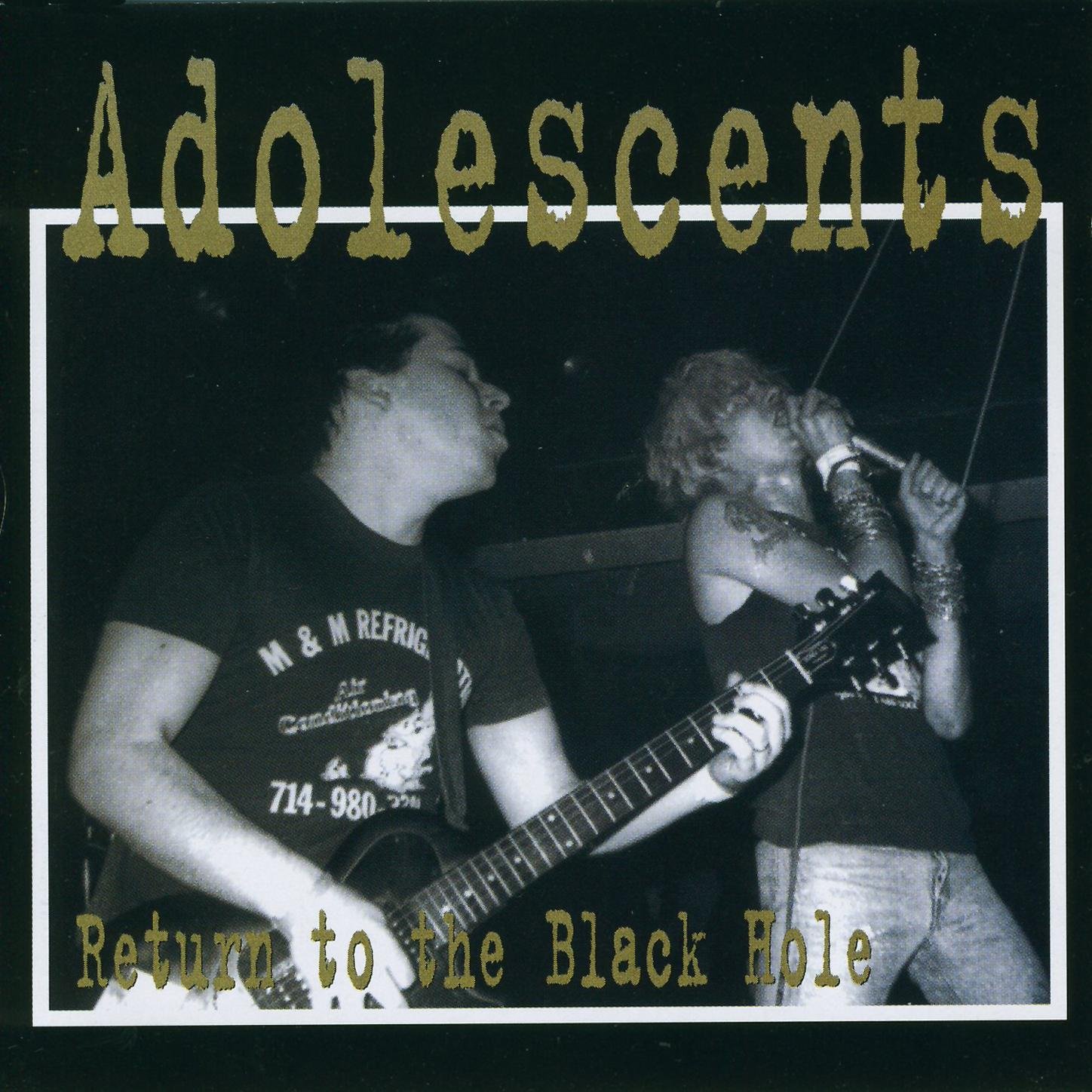 The Adolescents