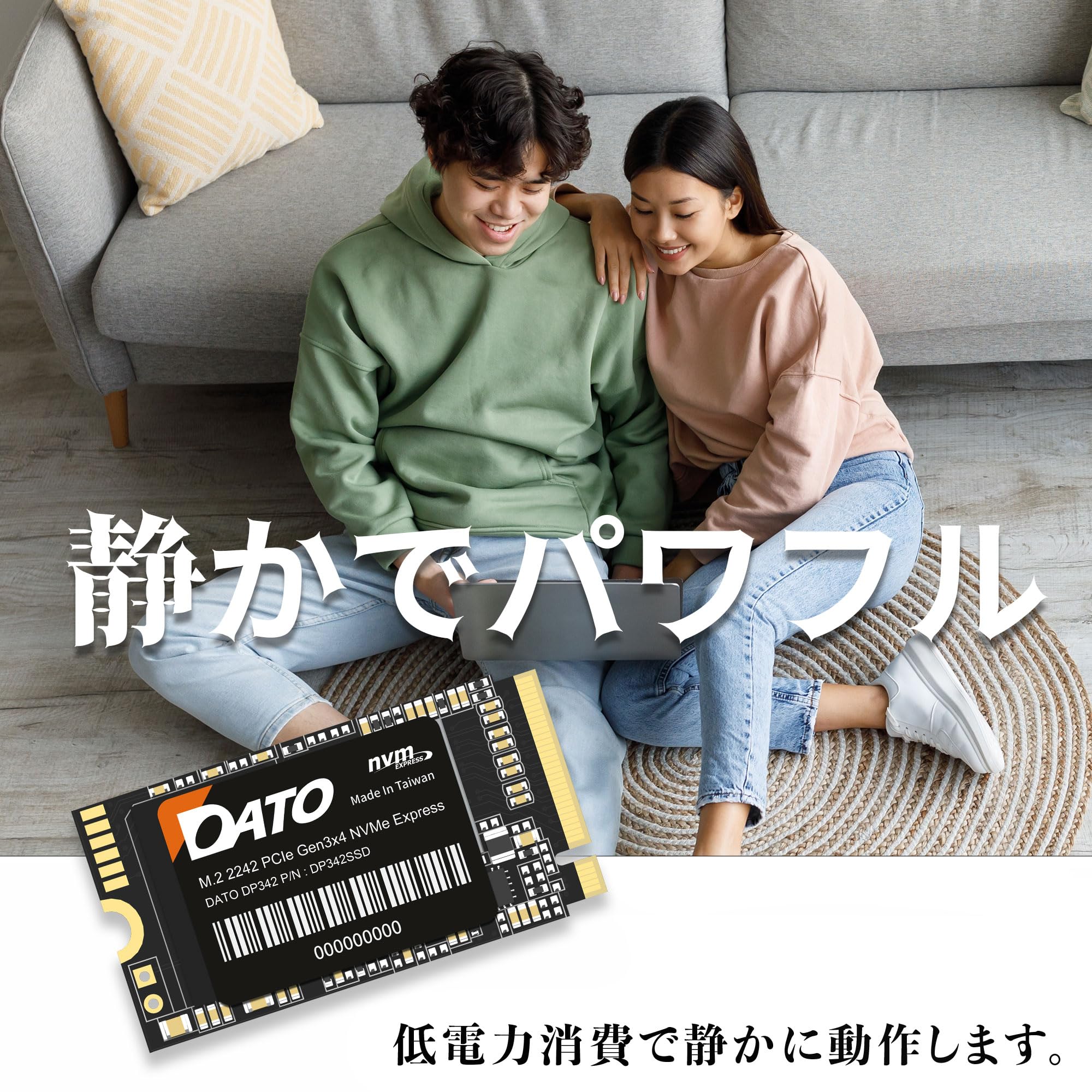 DATO 1TB DP342 M.2 2242 PCIe Gen3 x4 NVMe SSD
