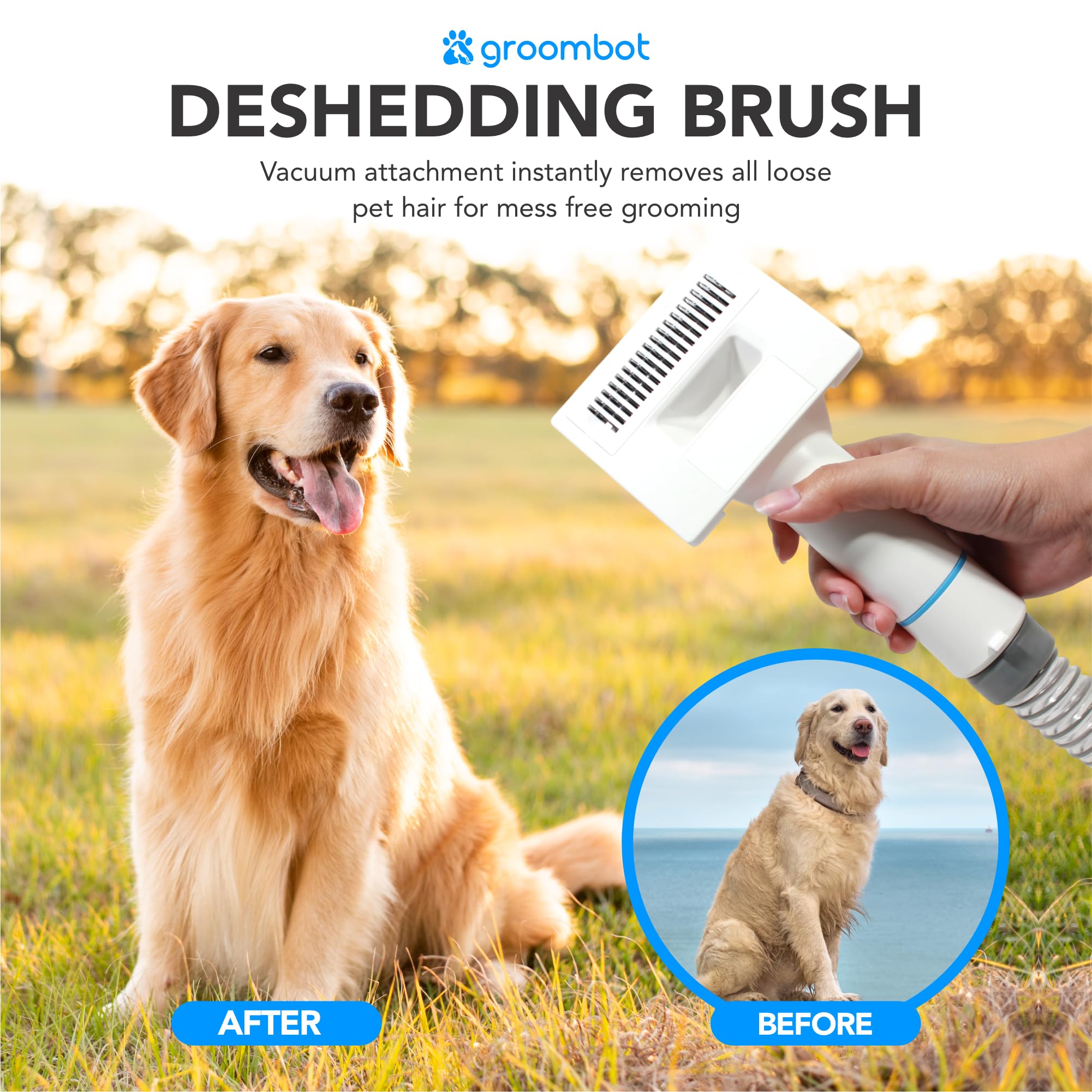 Snapklik.com : Pet Grooming Kit & Vacuum, Low Noise Suction, 25L Large ...