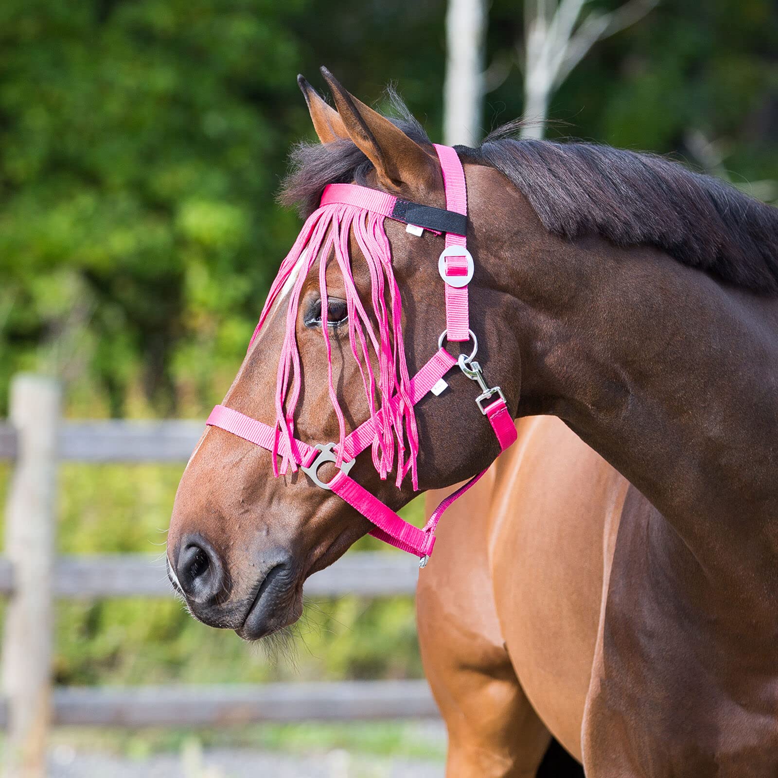 HORZE Lightweight Nylon Fringe Fly Veil | Easily Attaches to Halter - Raspberry Pink - Cob