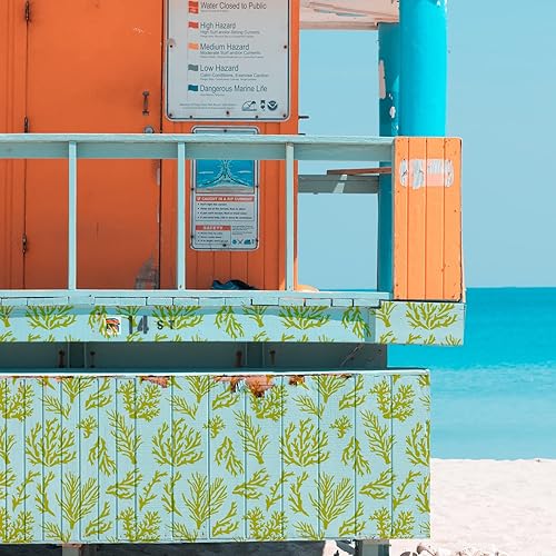 Miniatura 5 de BENECREAT Plantilla de coral, plantillas de plástico reutilizables de 12 x 12 pulgadas, patrón de plantas marinas, plantilla de pintura para diario,