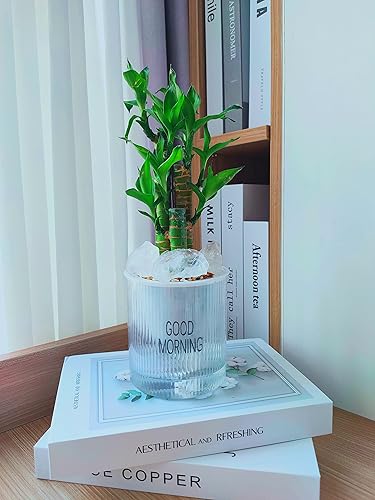 Miniatura 4 de Cristales en bruto de 0.5 libras, piedras curativas de cuarzo transparente crudo para rodar, envolver alambre, Wicca Reiki, meditación