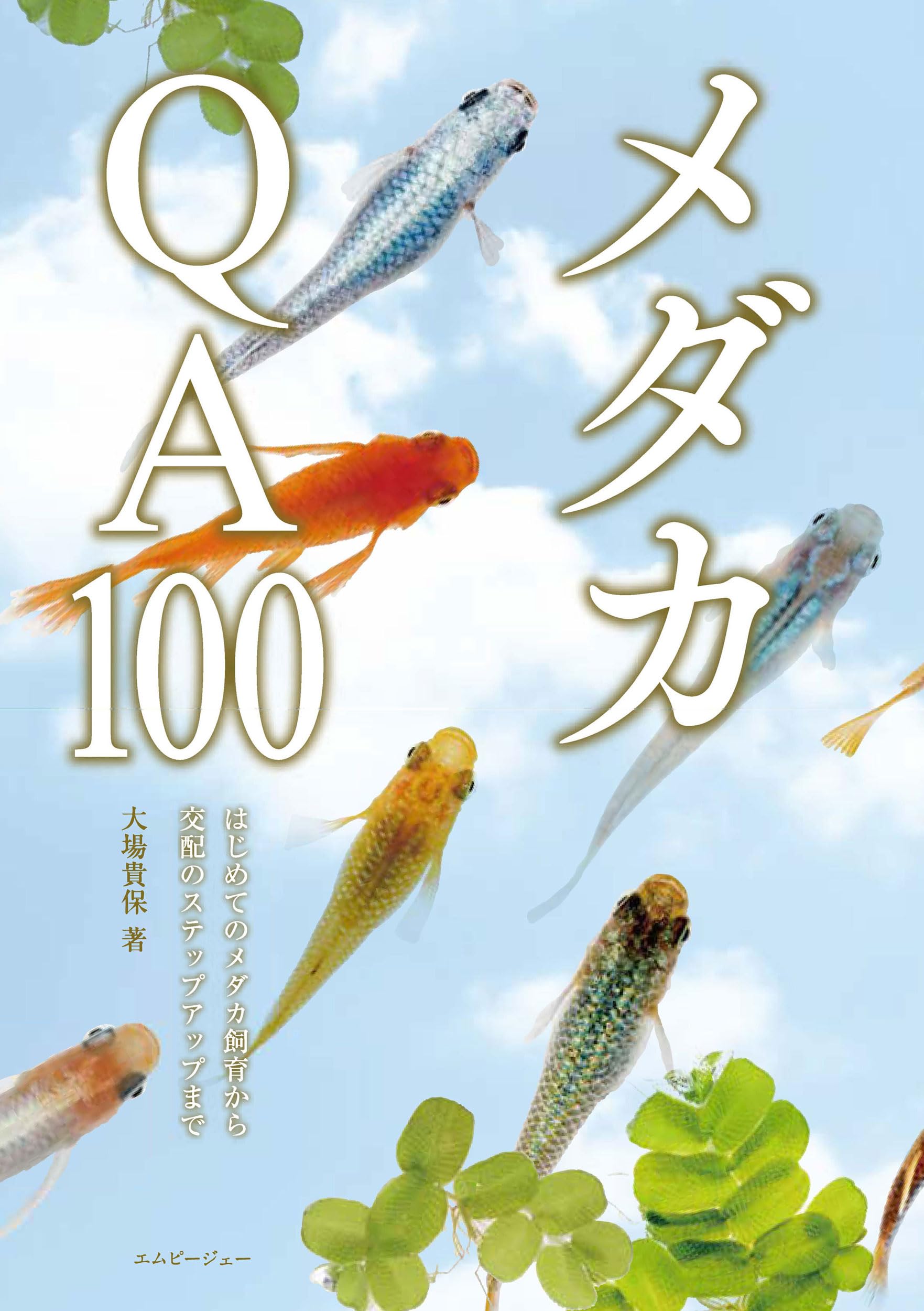 メダカQA100 はじめてのメダカ飼育から交配のステップアップまで (みず 