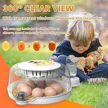 孵化器 Ziss Aqua Egg incubator ZET 55 孵化器 小型種エビ用 | チャーム