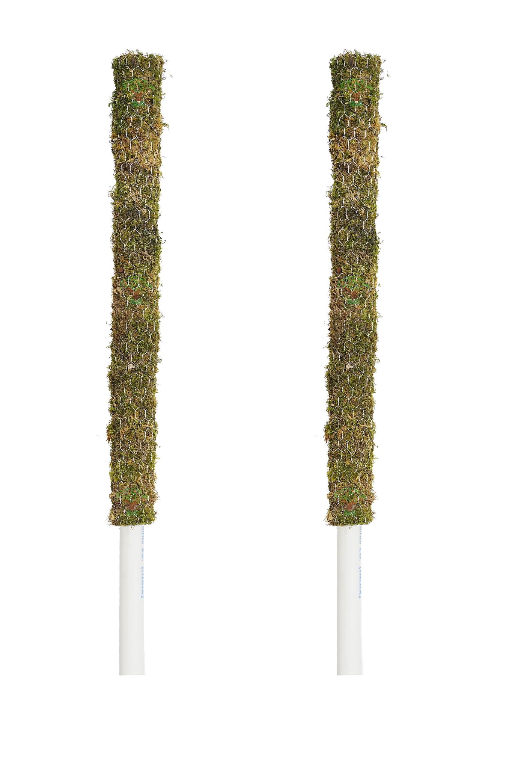 See full amazon price history chart for DR ARYA Moss Stick | Moss Stick | Moss Stick for Plant | Climbing Indoors | 4ft Each - (Set of 2) DR ARYA Moss Stick | Moss Stick | Moss Stick for Plant | Climbing Indoors | 4ft Each - (Set of 2) (B0BMLMDBDV) Amazon Price History, Amazon Price Tracker