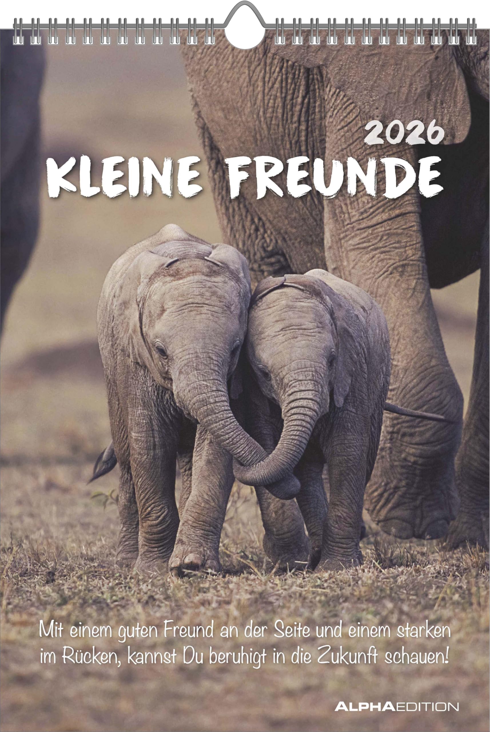 Alpha Edition - Kleine Freunde Kalender 2026 – Wandkalender 23,7×34 cm mit Tiermotiven & Sprüchen, Platz für Notizen, dekorativer Bildkalender mit Zusatzinfos für Tierliebhaber