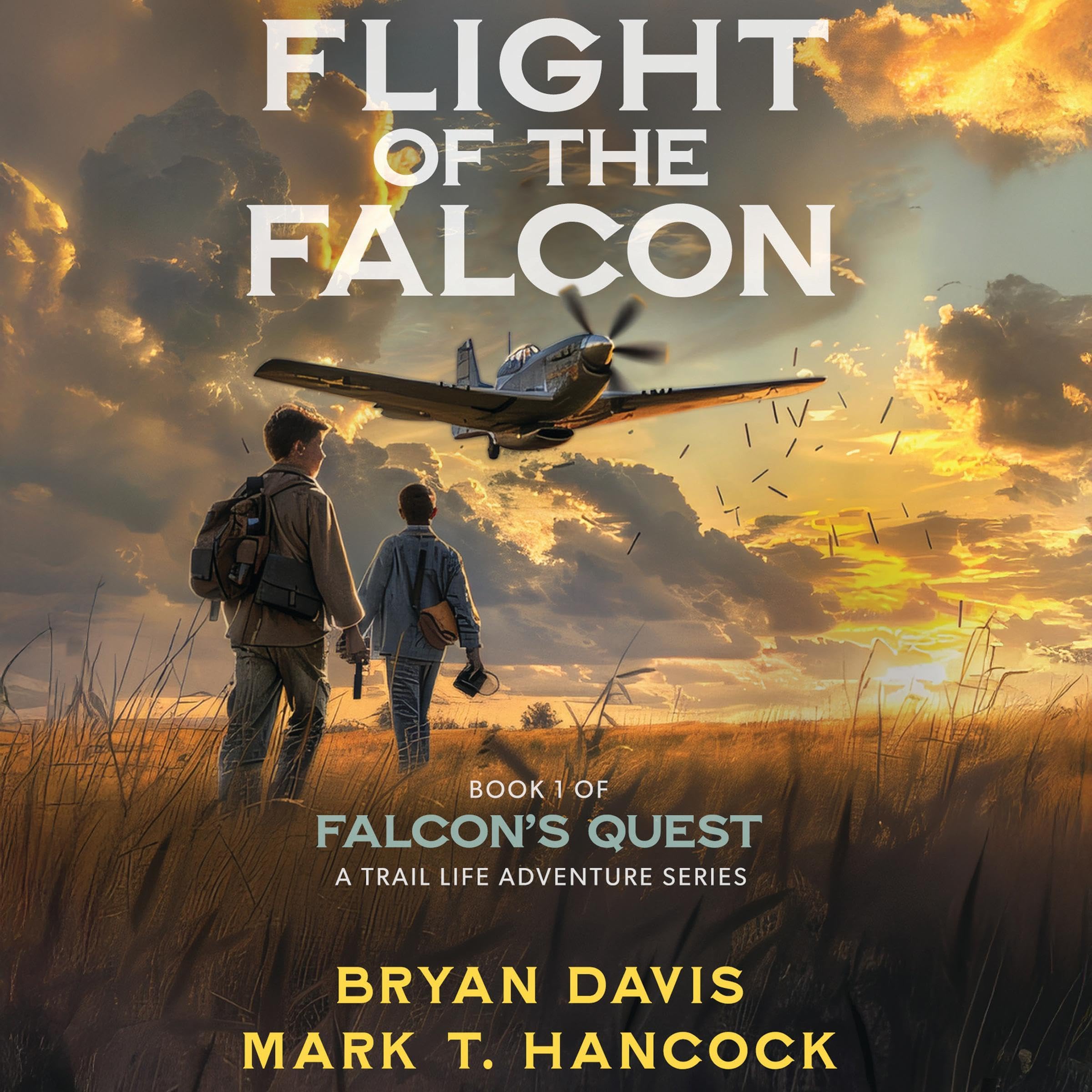 Cover art for Flight of the Falcon